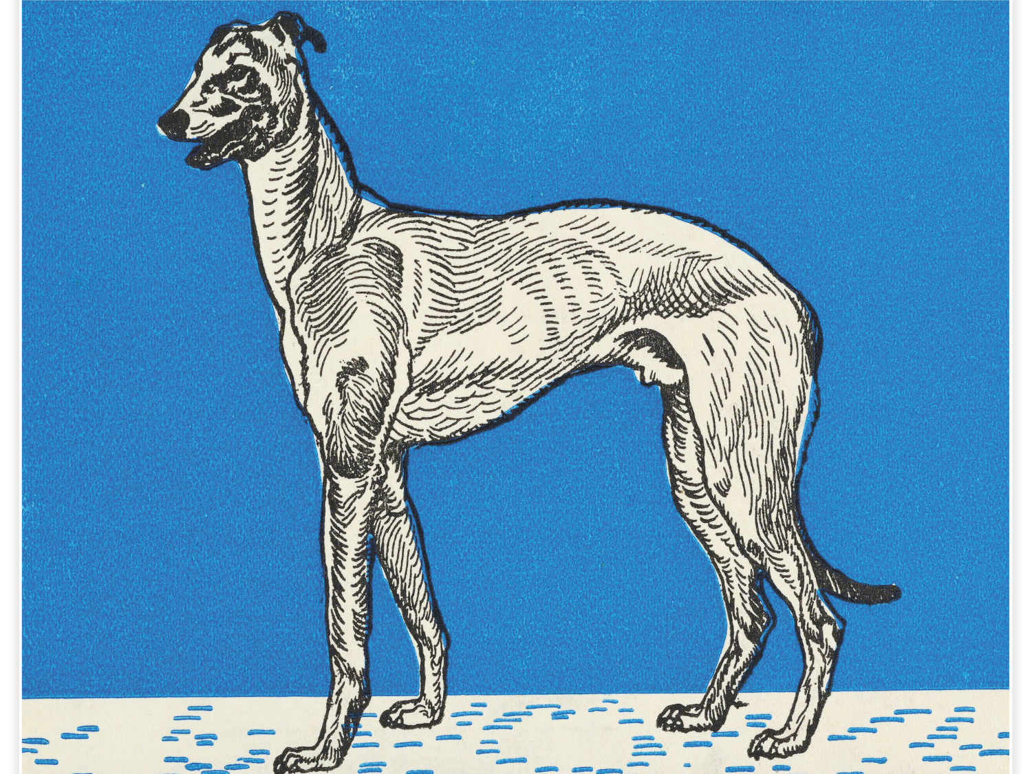 Bild på Greyhound No. 1