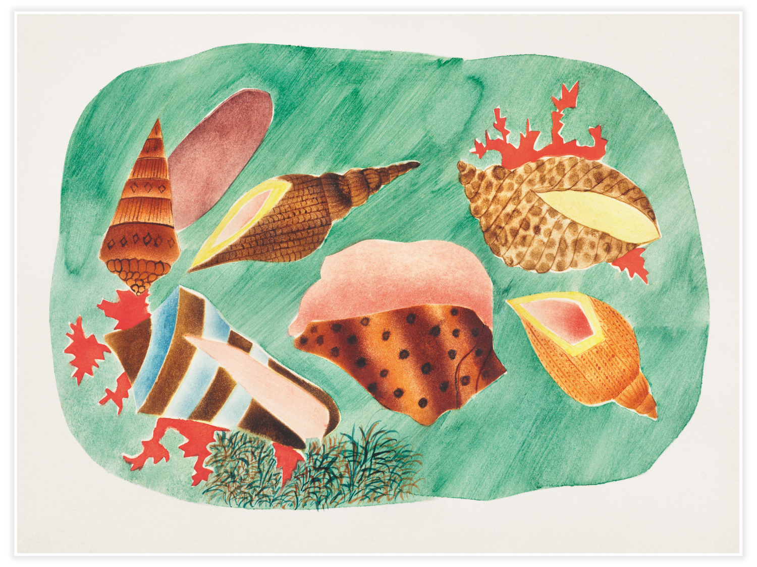 Bild på Shells in Seaweed