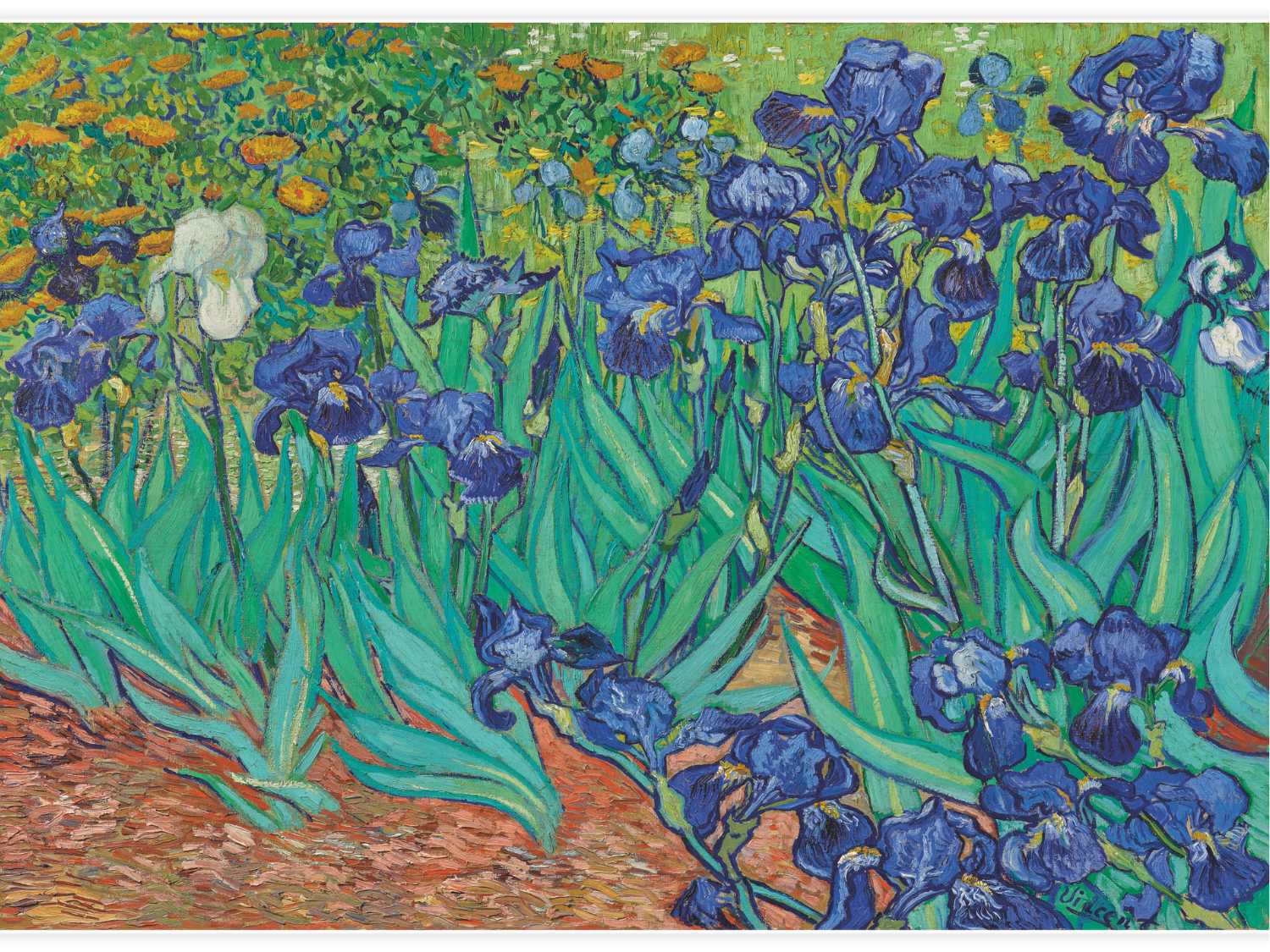 Bild på Irises