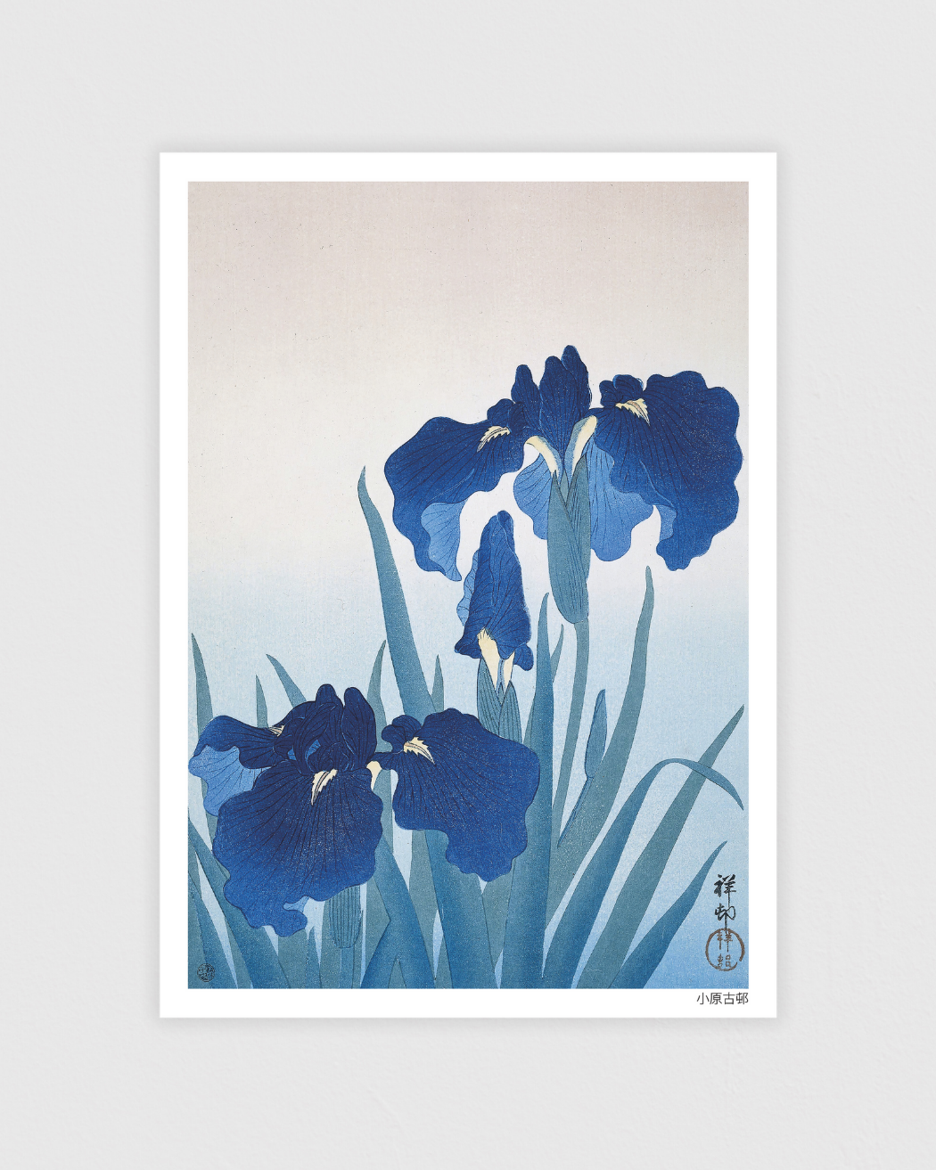 Bild på Irises