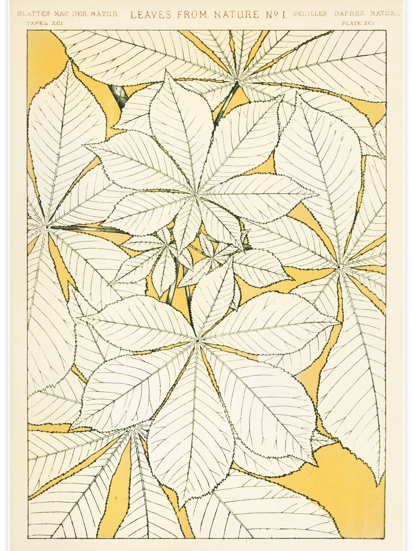 Bild på Leaves from Nature No.1
