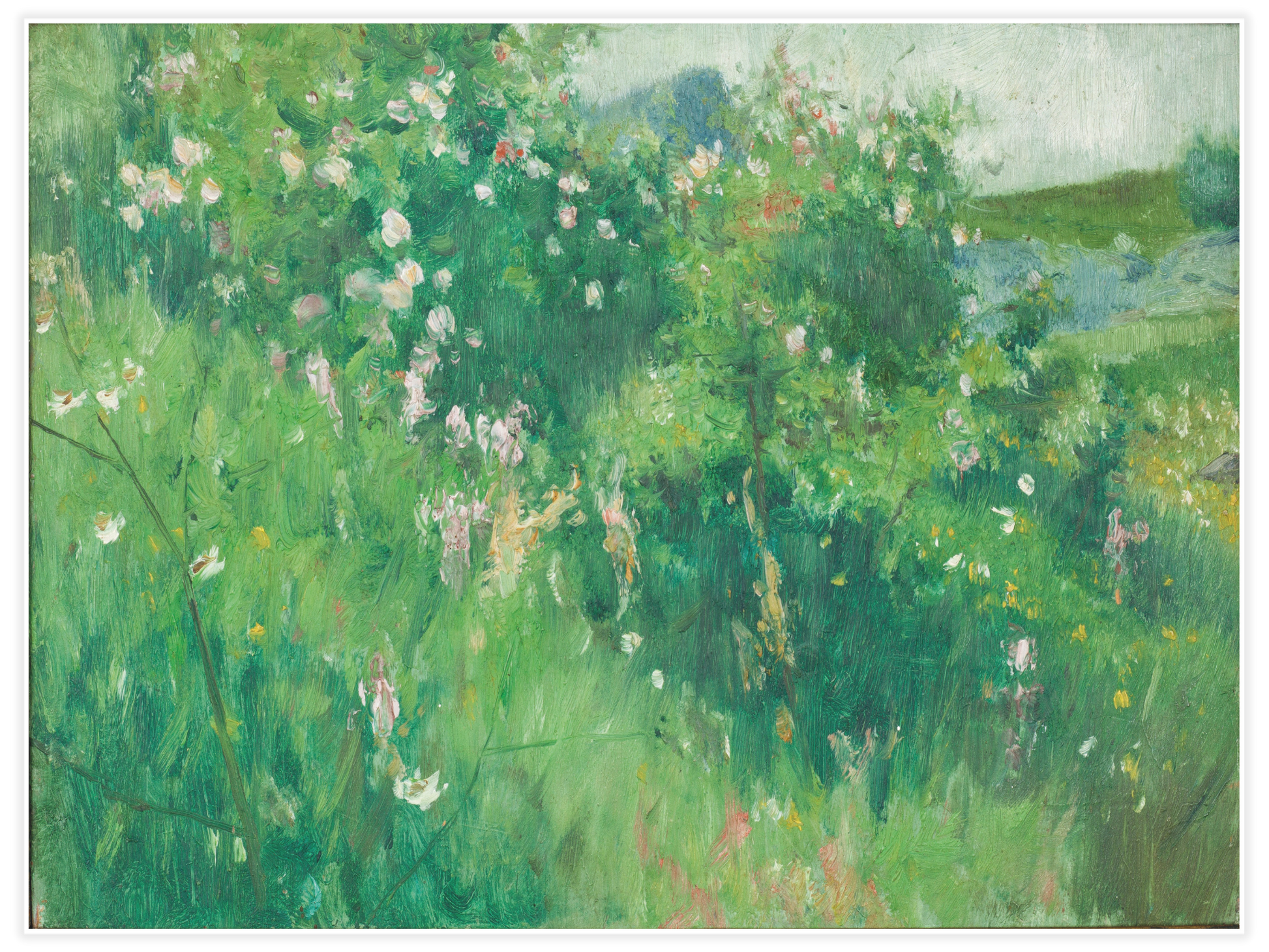 Bild på Blommande nyponbuskar, Hoga, Tjörn