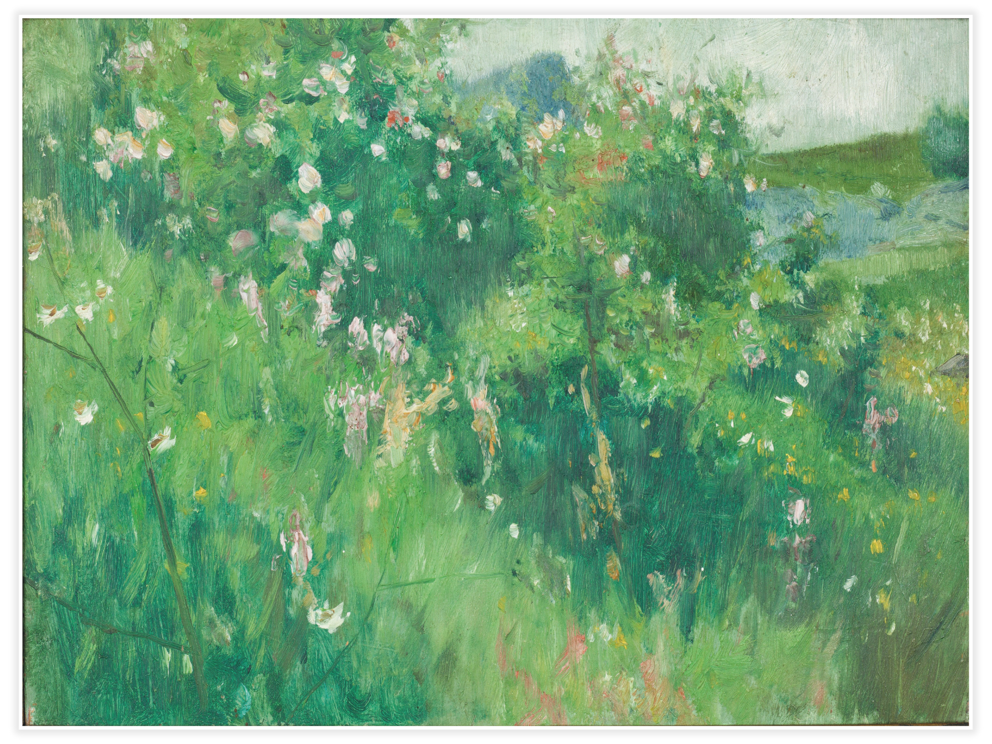 Bild på Blommande nyponbuskar, Hoga, Tjörn
