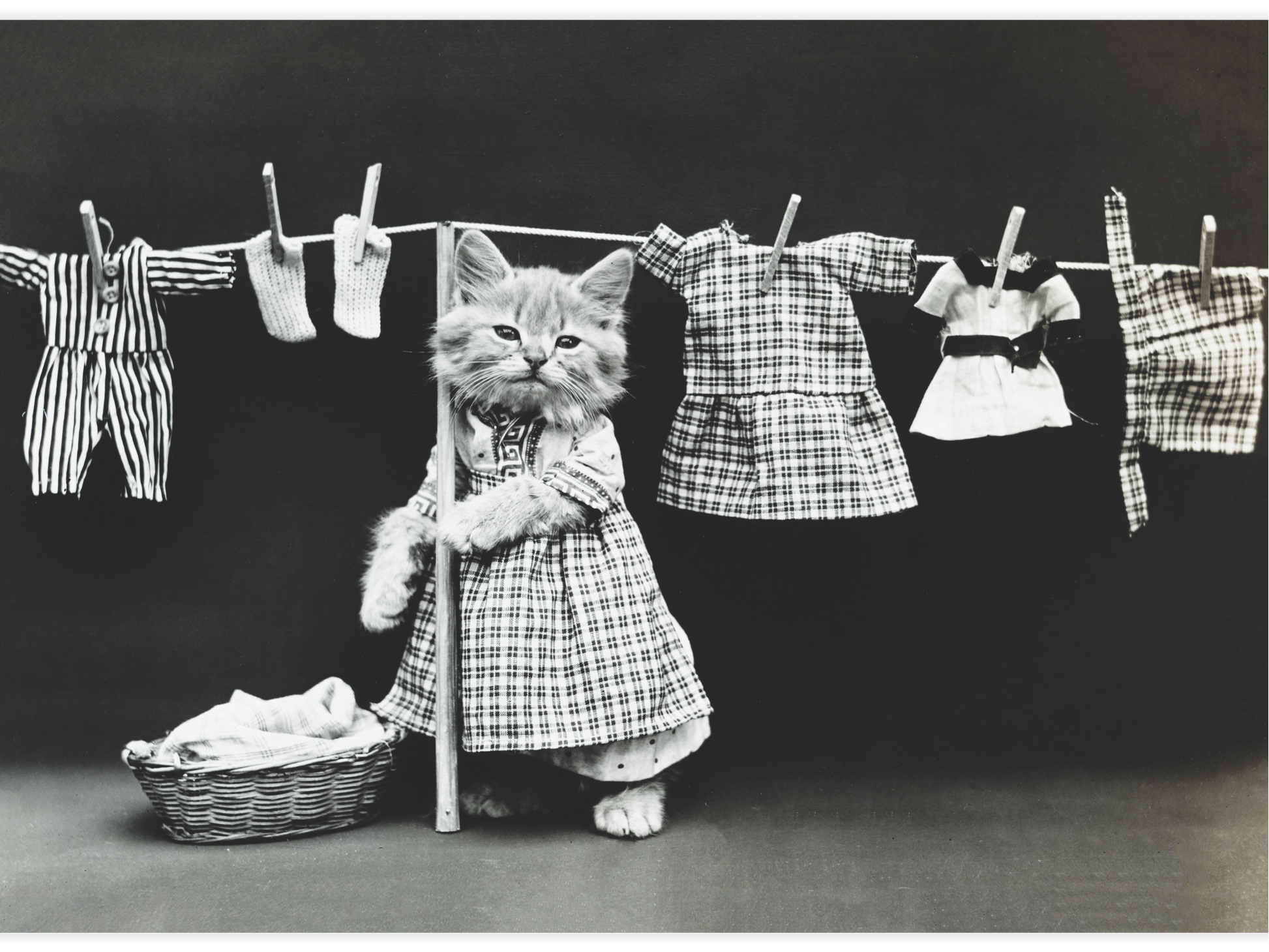 Bild på Hanging up the wash