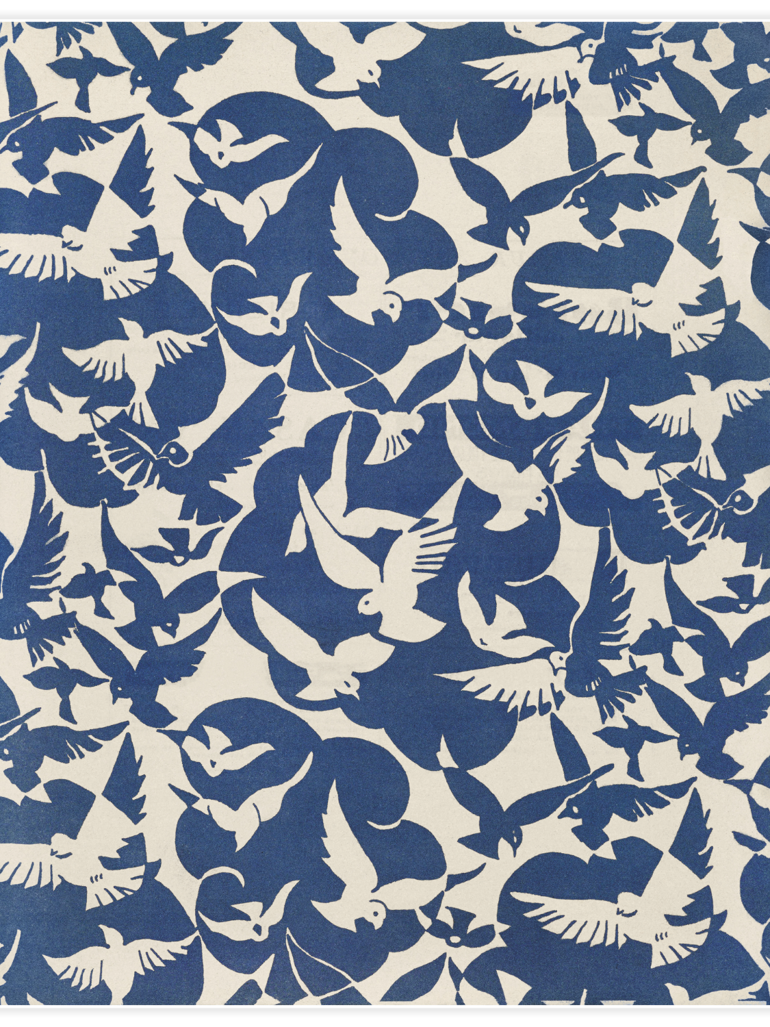 Bild på Pigeons in white and blue