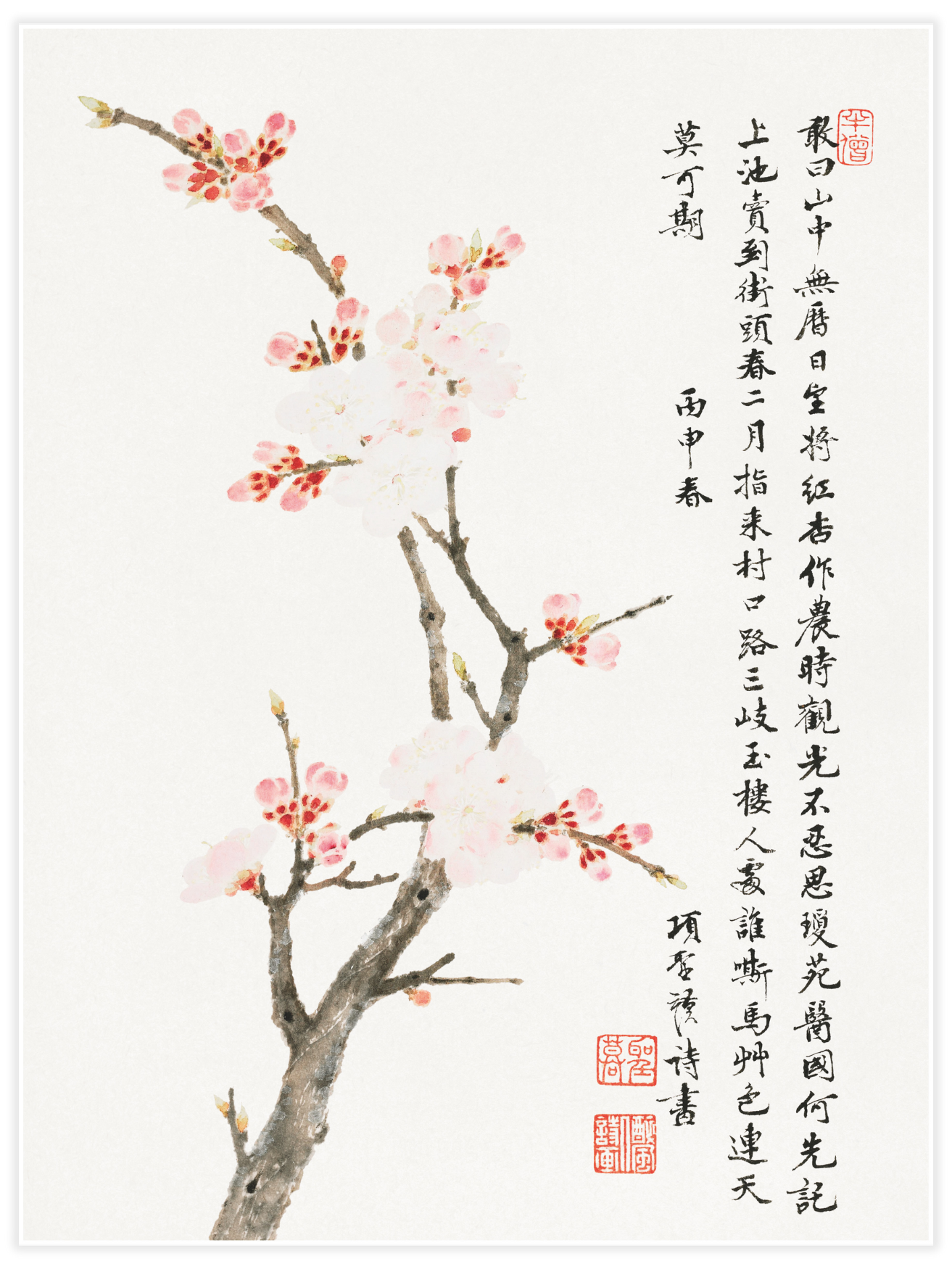 Bild på Chinese cherry blossom