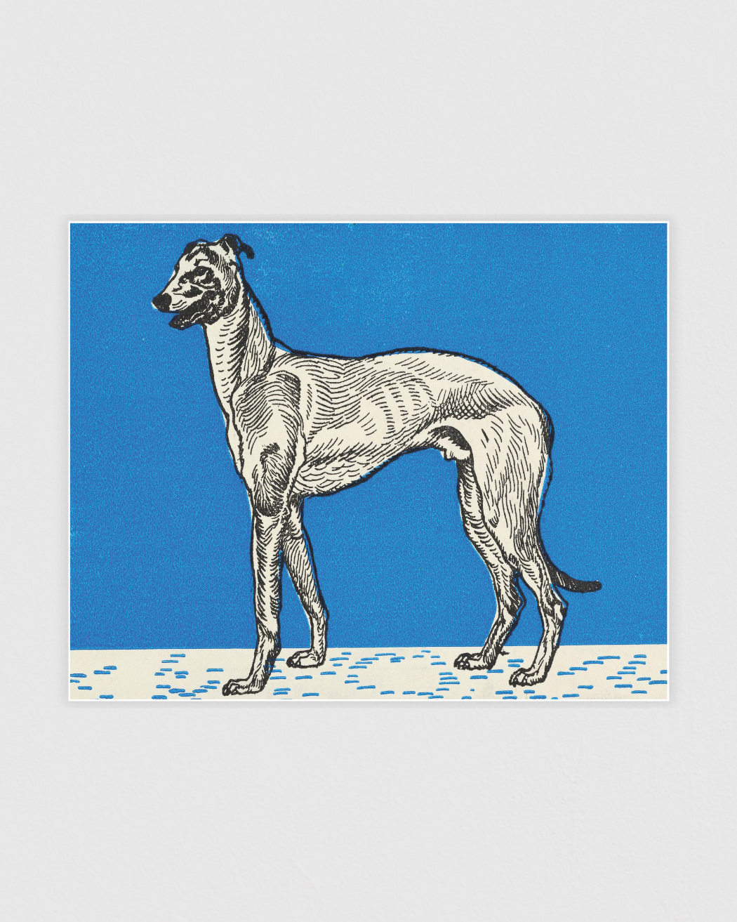 Bild på Greyhound No. 1
