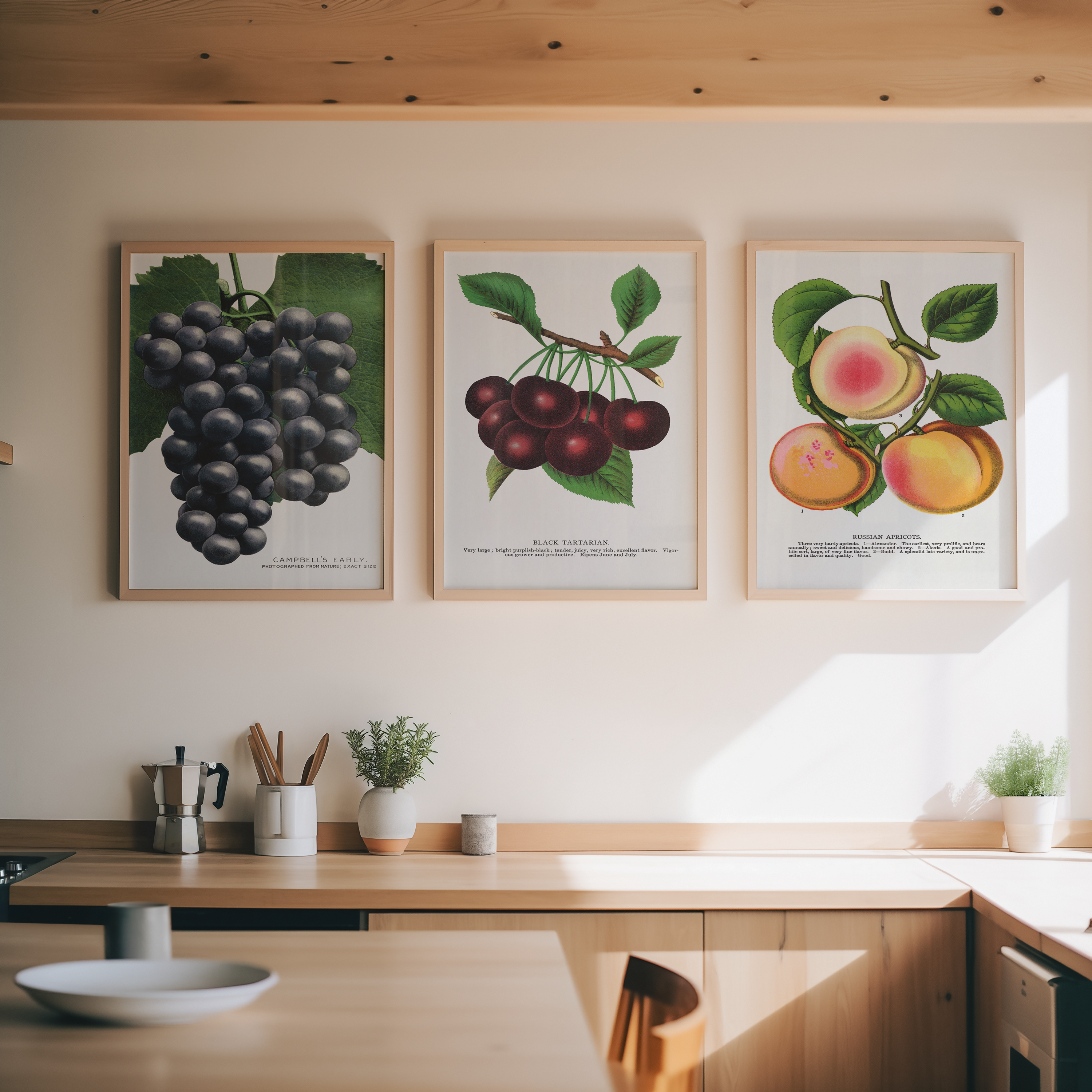 Vintage Fruit Poster Set