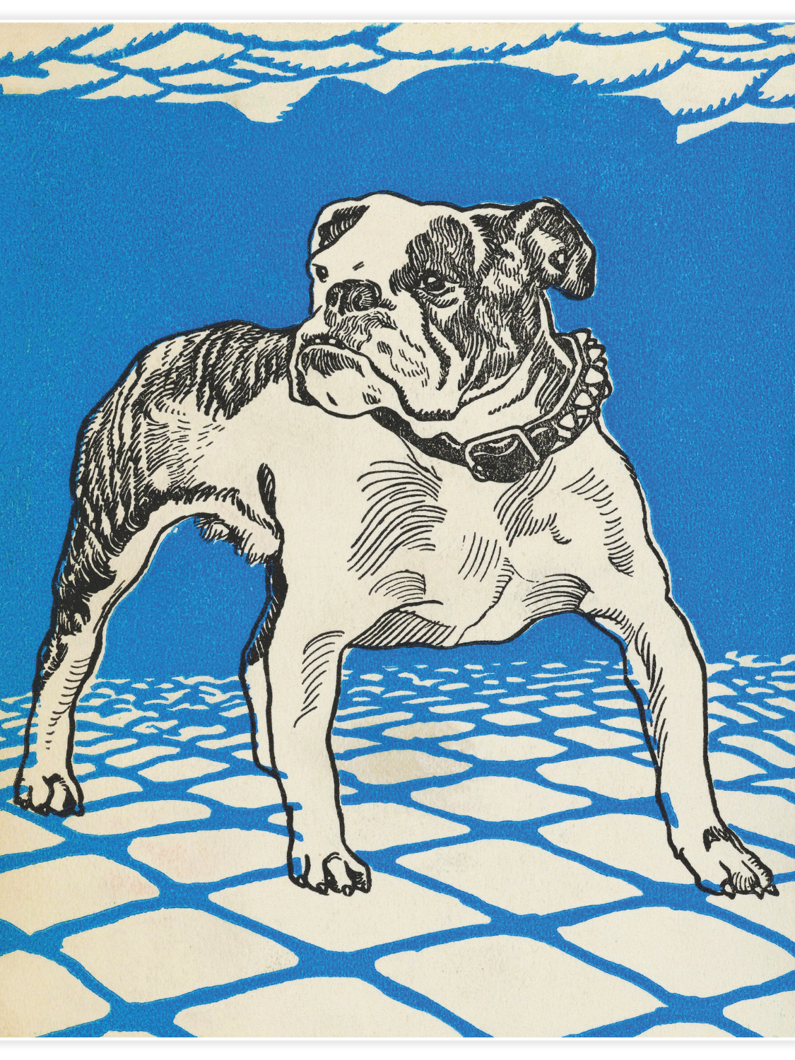 Bild på Bulldog