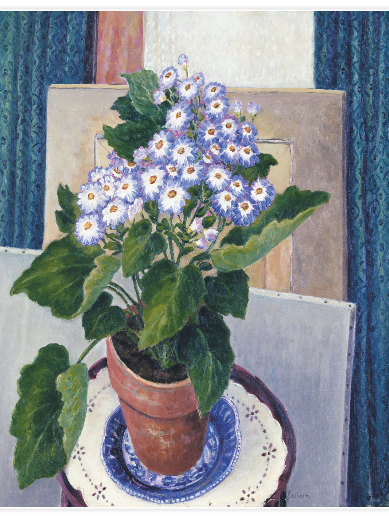 Bild på Cineraria
