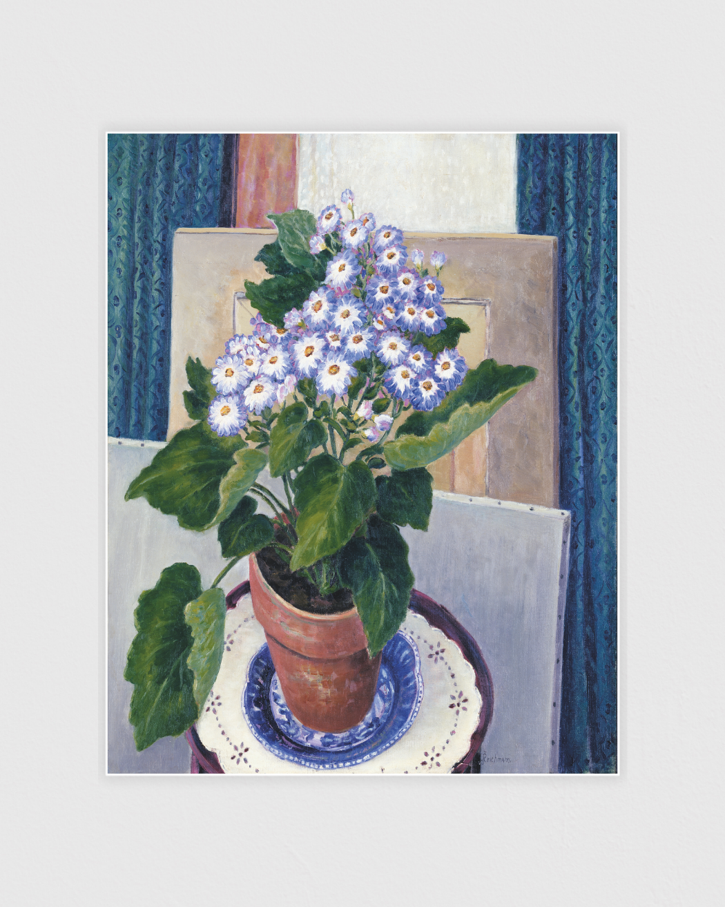 Bild på Cineraria