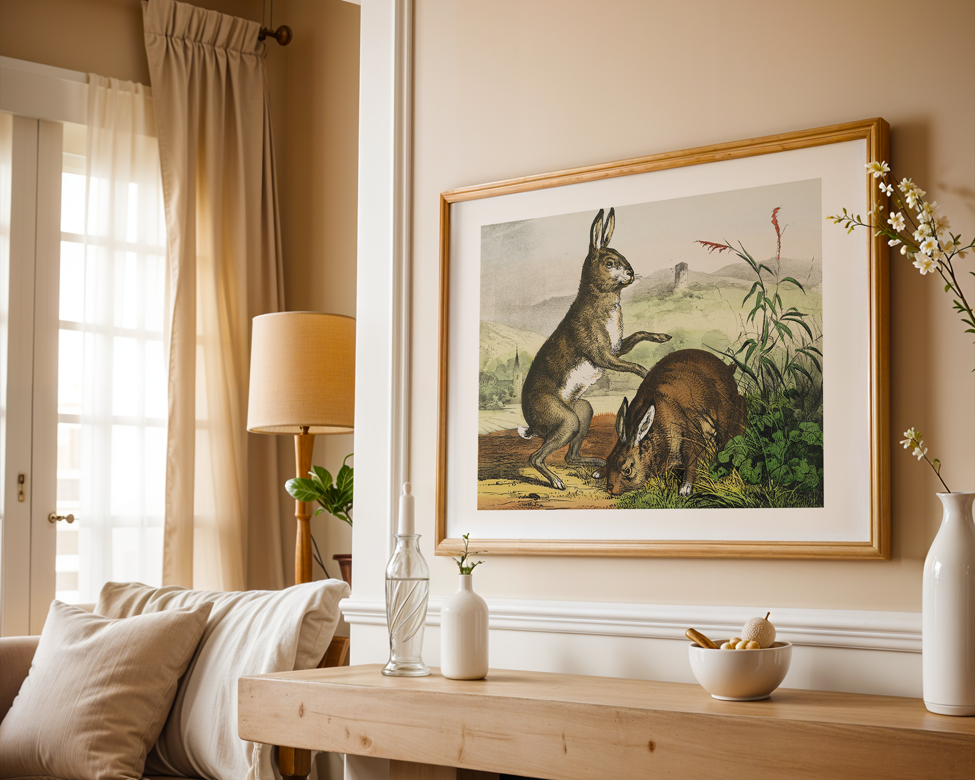 Bild på Hase, hare, haas