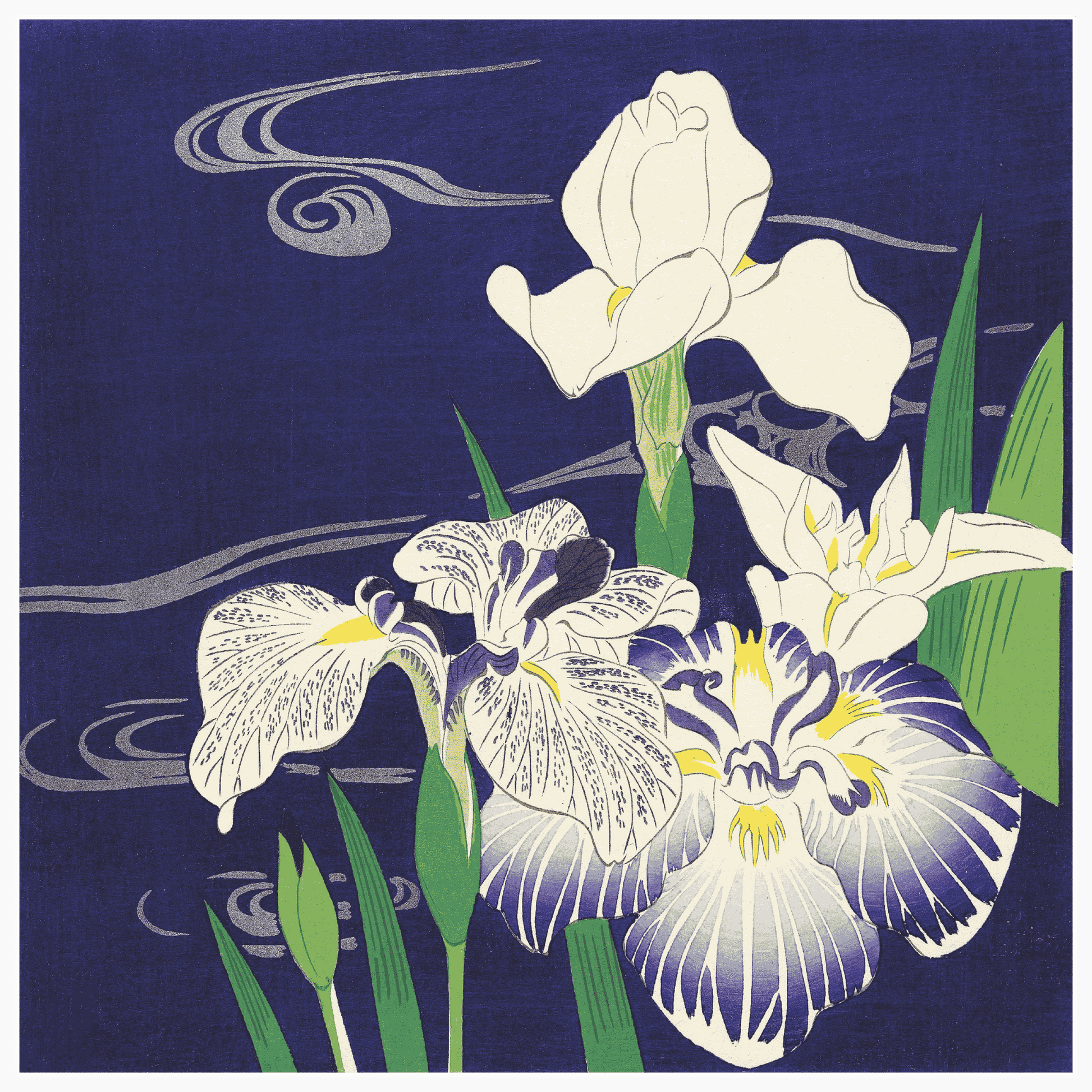 Bild på Irises