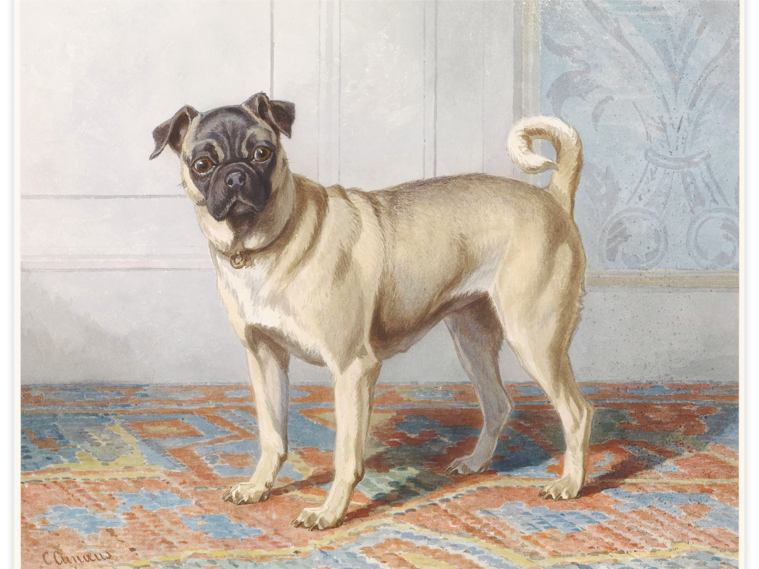 Bild på Portrait of Edwin vom Raths Pug