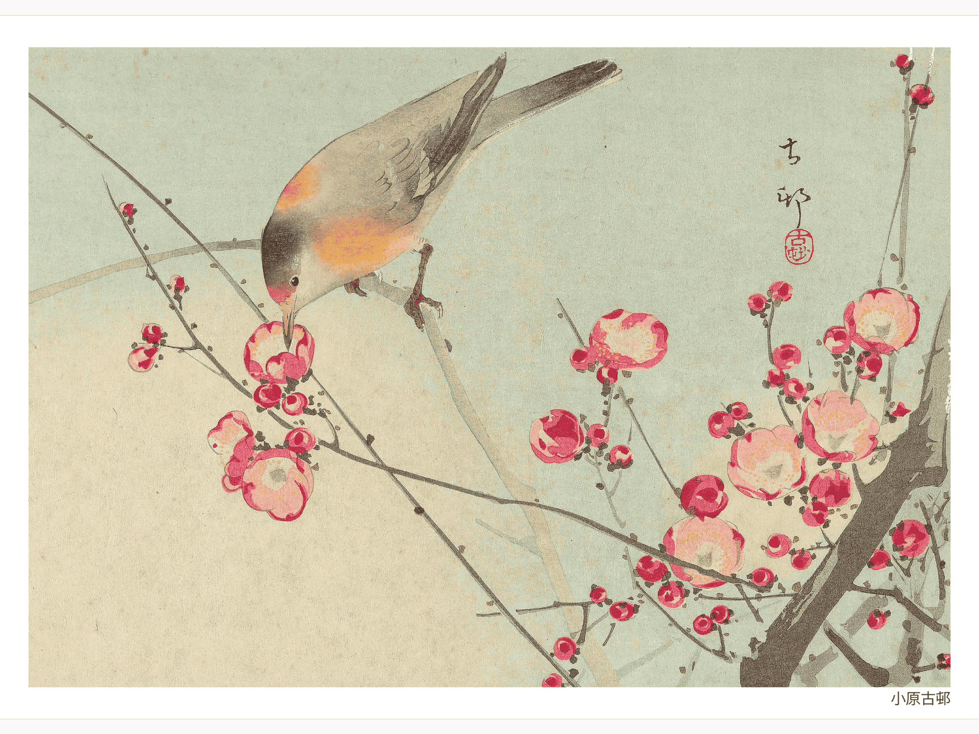 Bild på Songbird on Blossom Branch