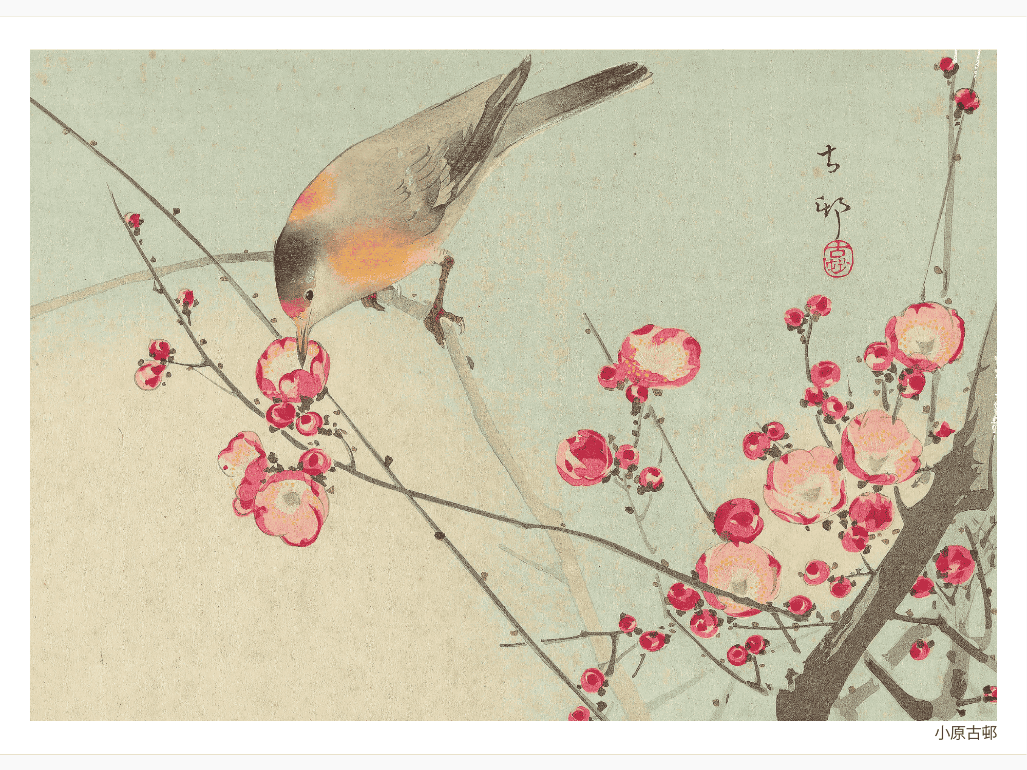 Bild på Songbird on Blossom Branch