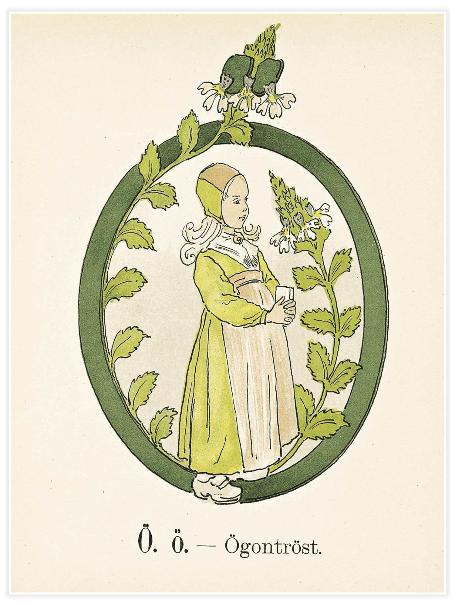 Bild på Prinsarnes blomsteralfabet - Ö