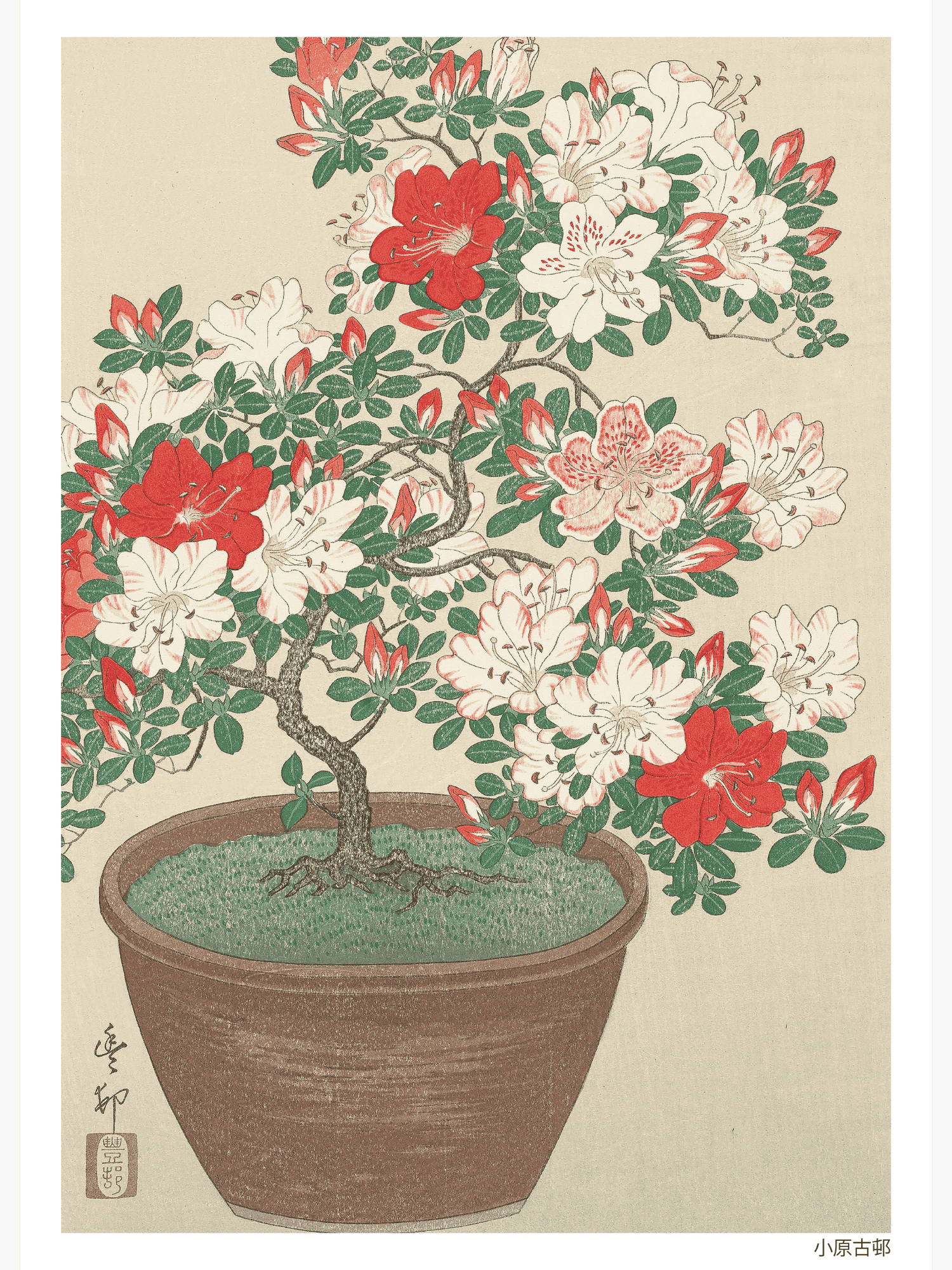 Bild på Blooming azalea in brown pot