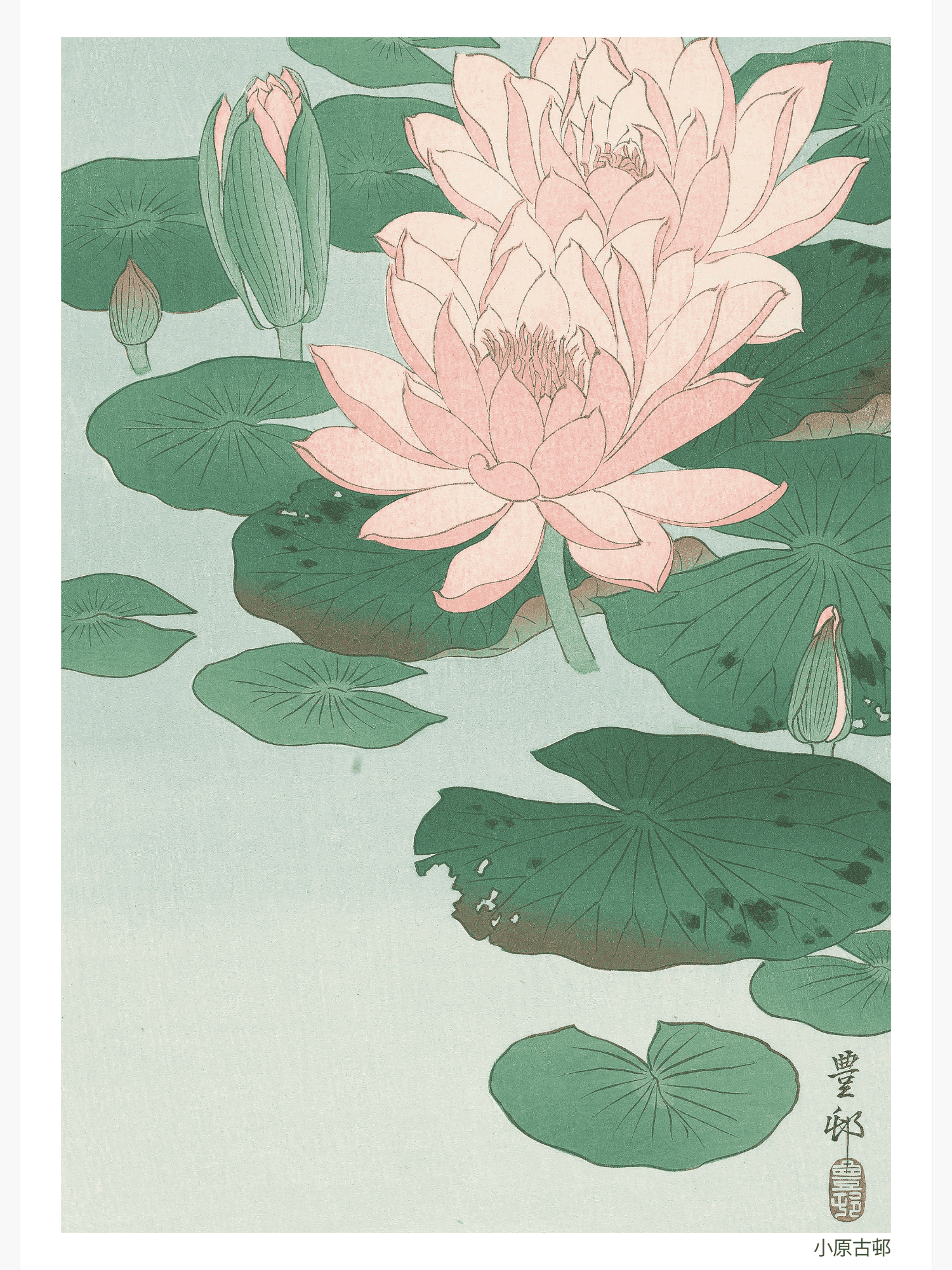 Bild på Flowering Water Lily