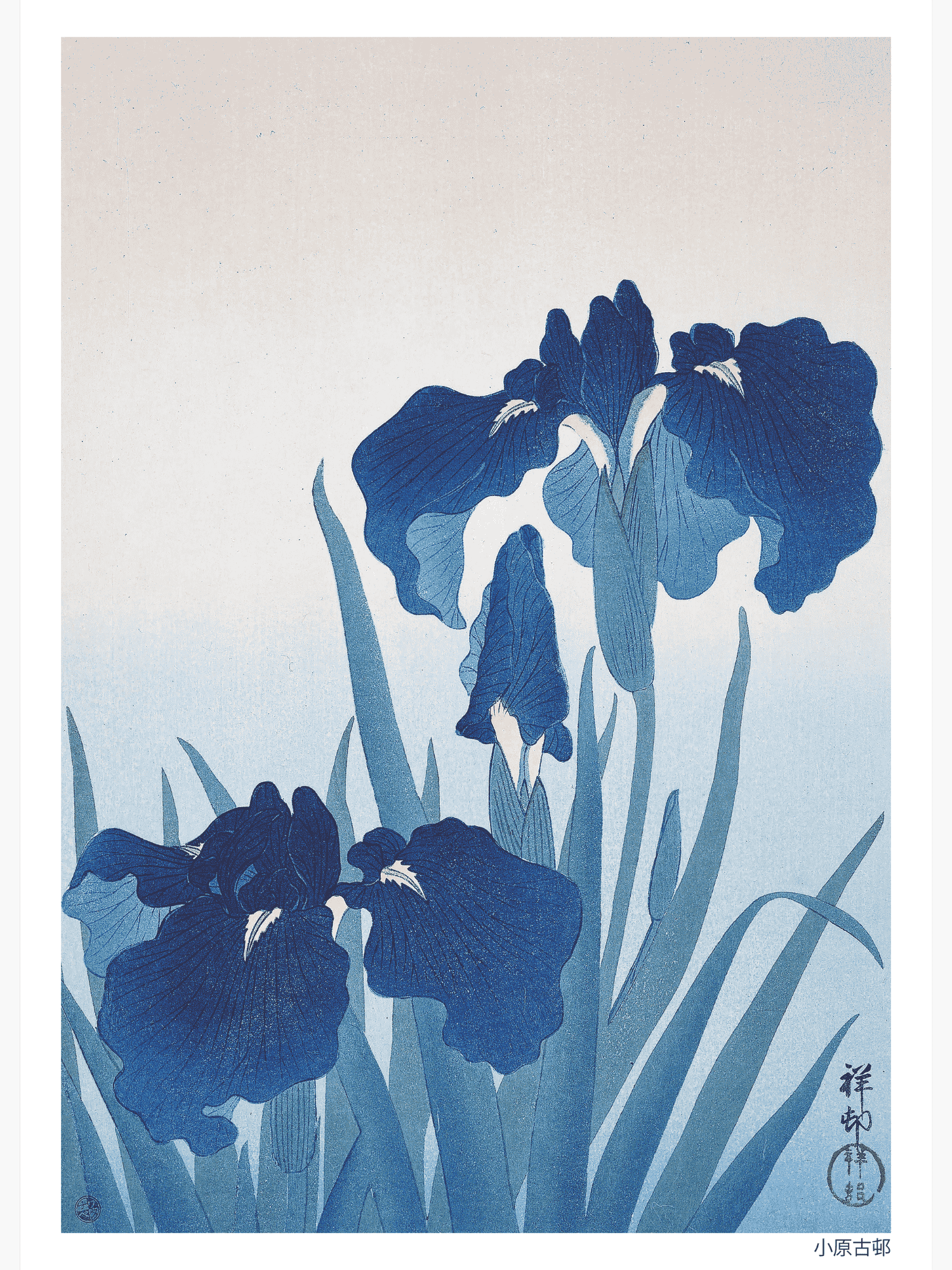 Bild på Irises