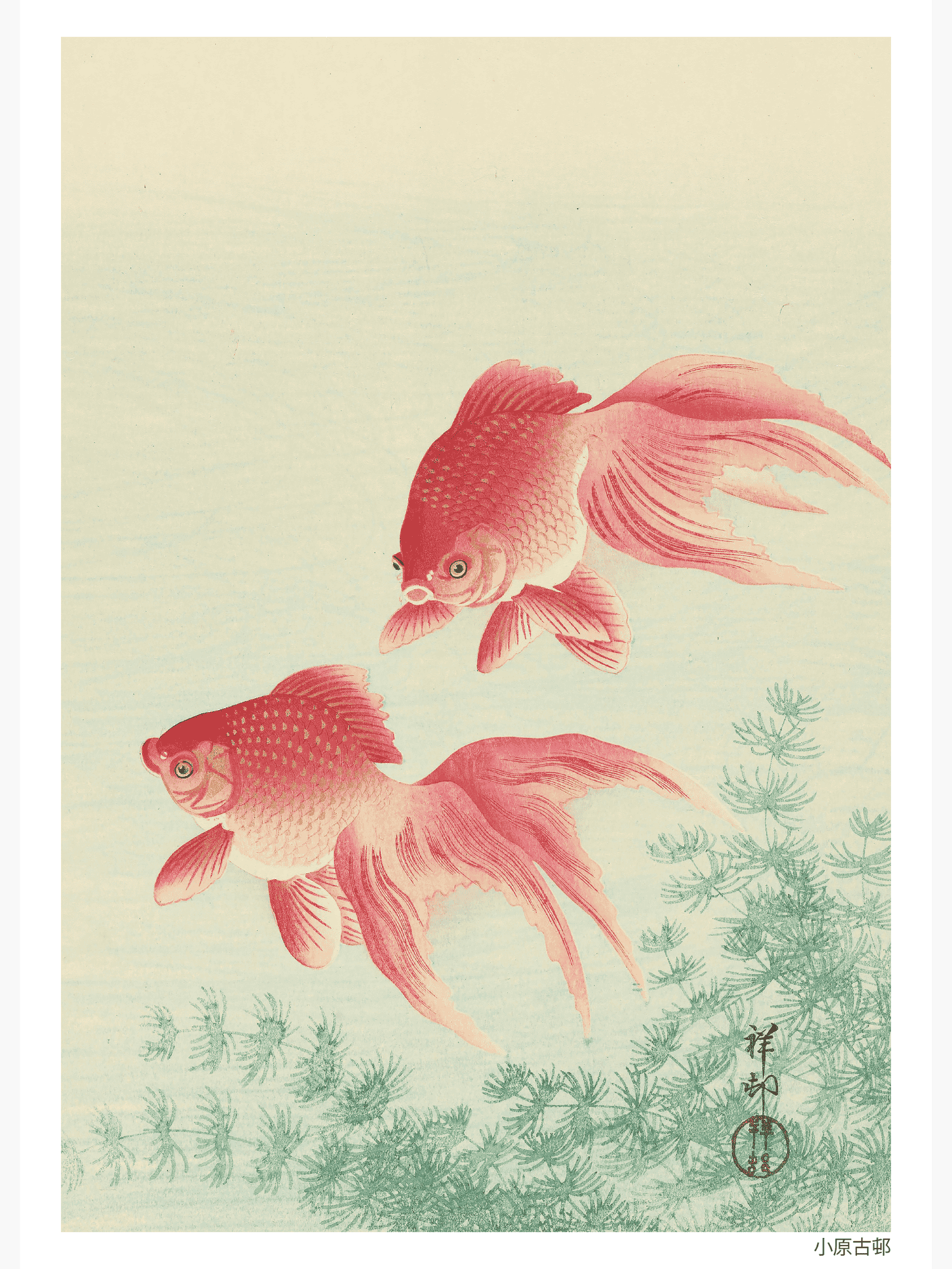 Bild på Two Veil Goldfish