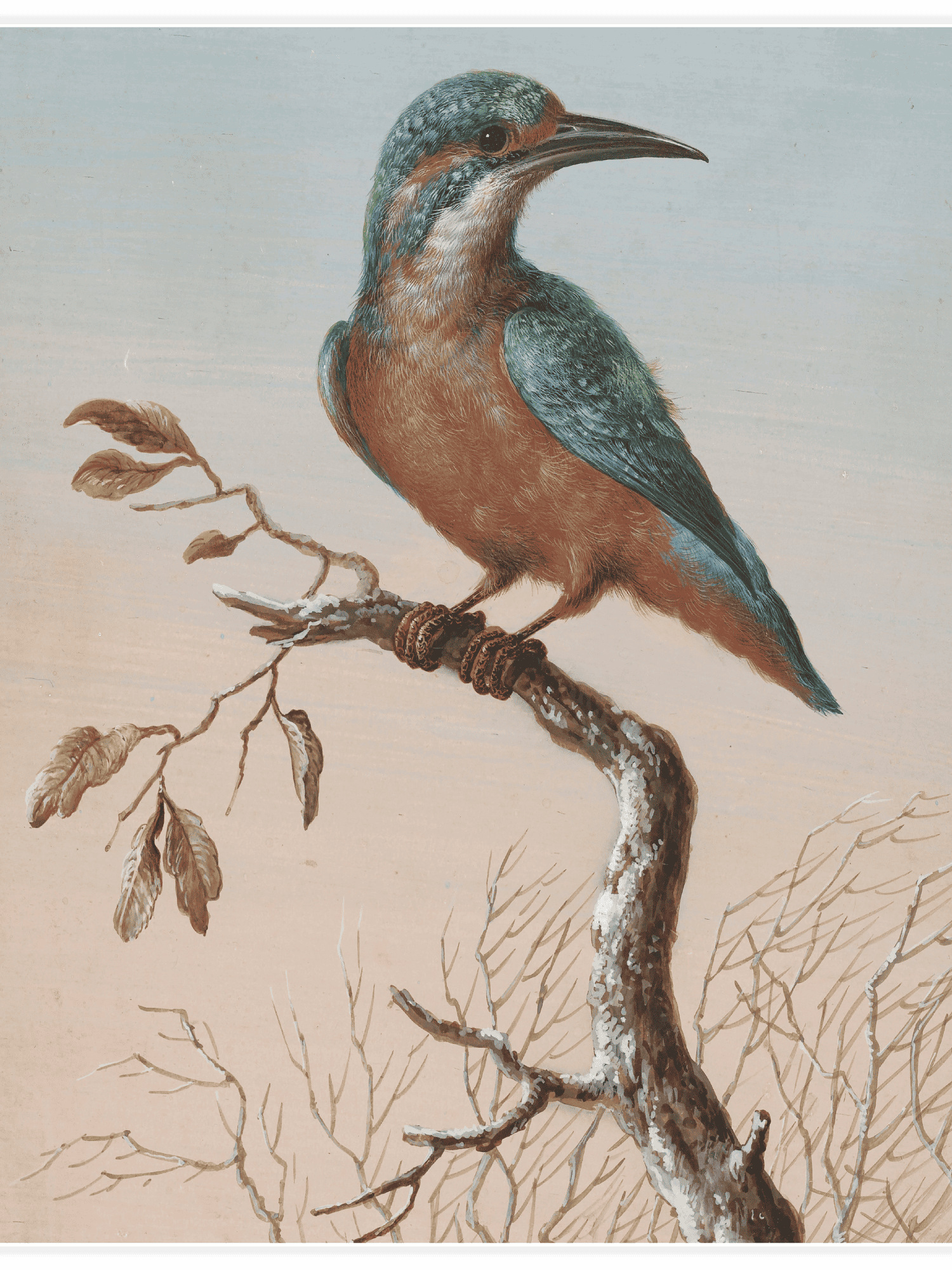 Bild på Common Kingfisher