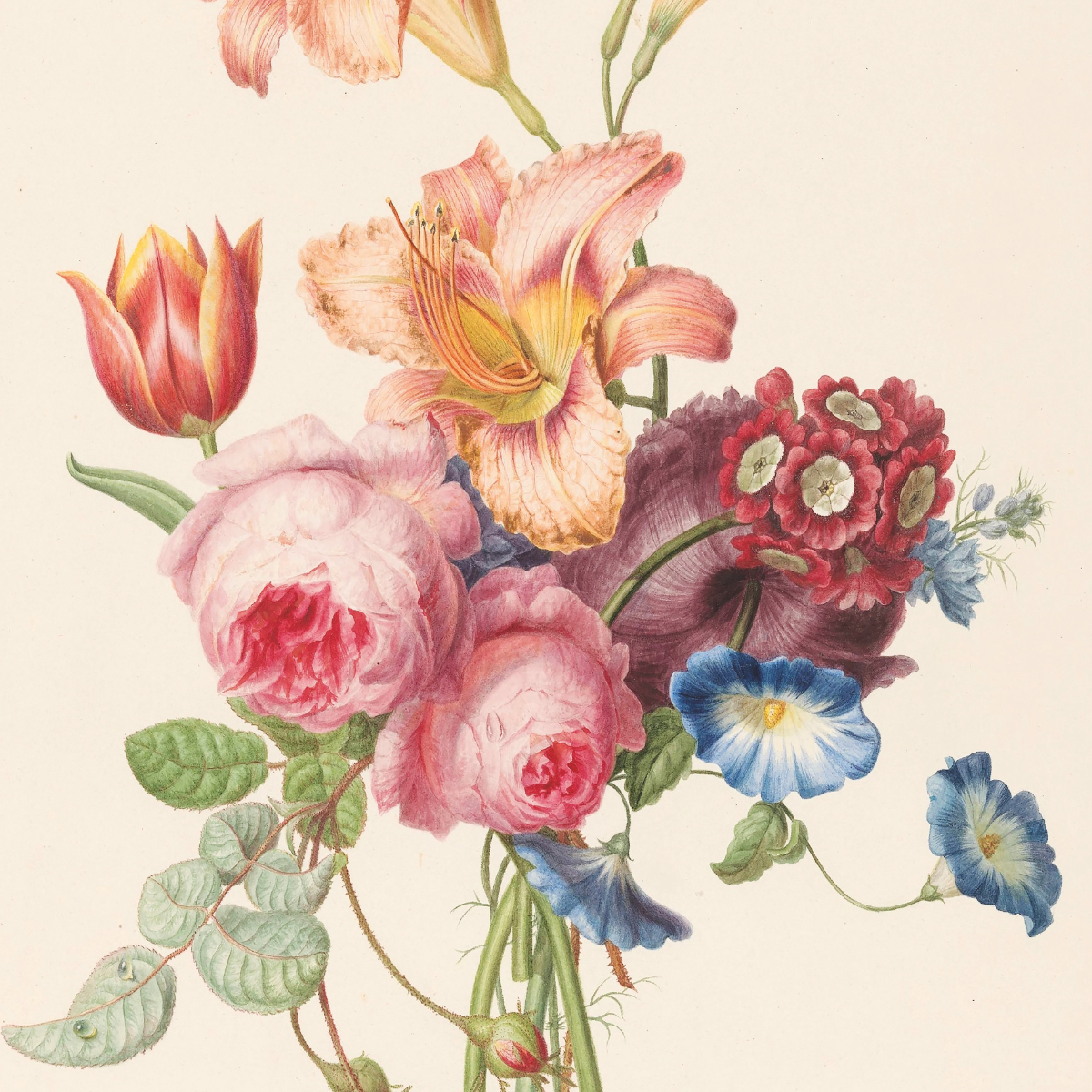 Henriëtte Geertruida Knip Posters