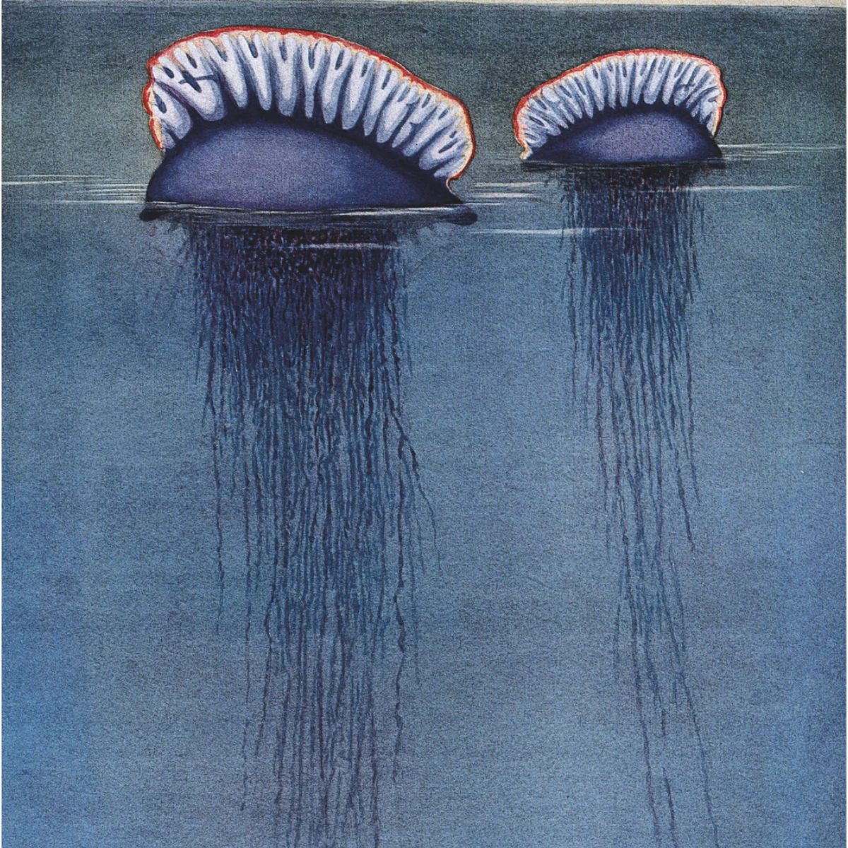 Hisakazu Murayama Posters