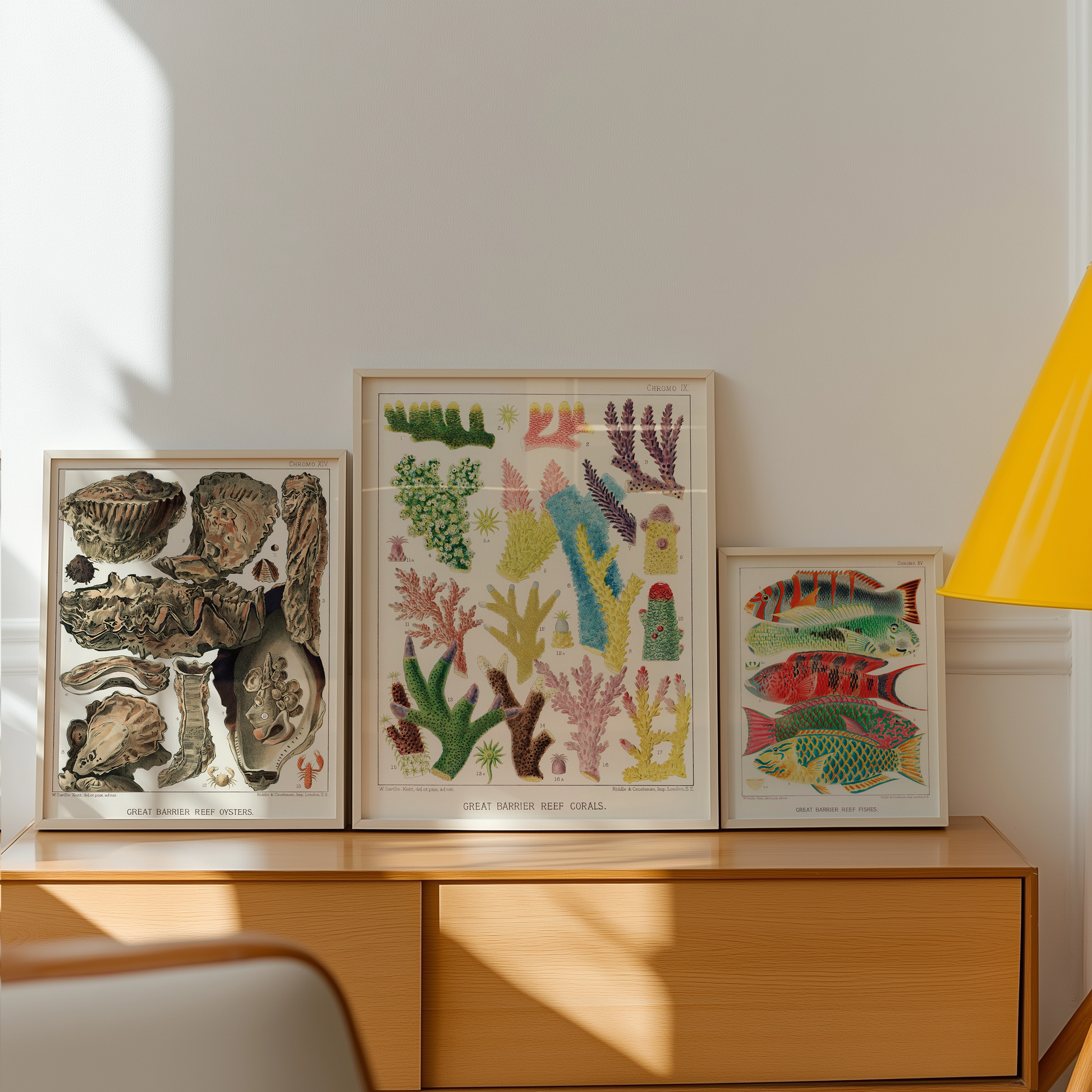 Bild på Great Barrier Reef Corals