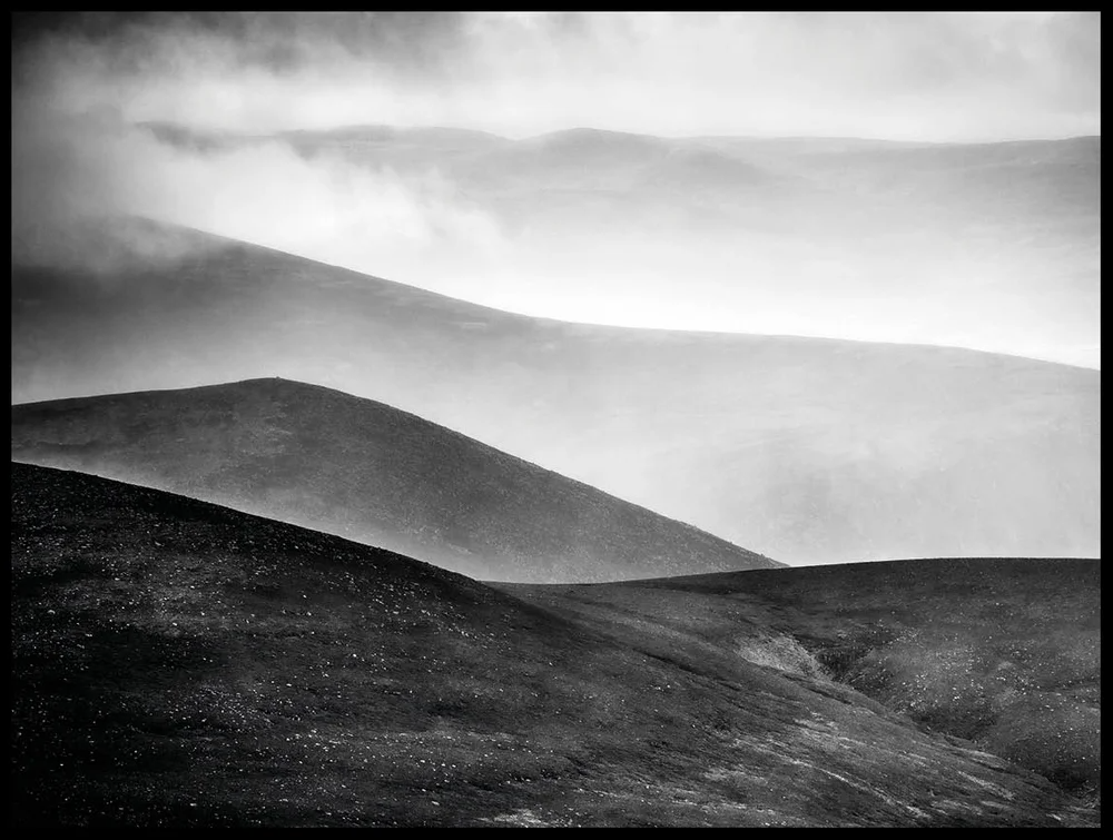 Mountain Mist Gallery Wall