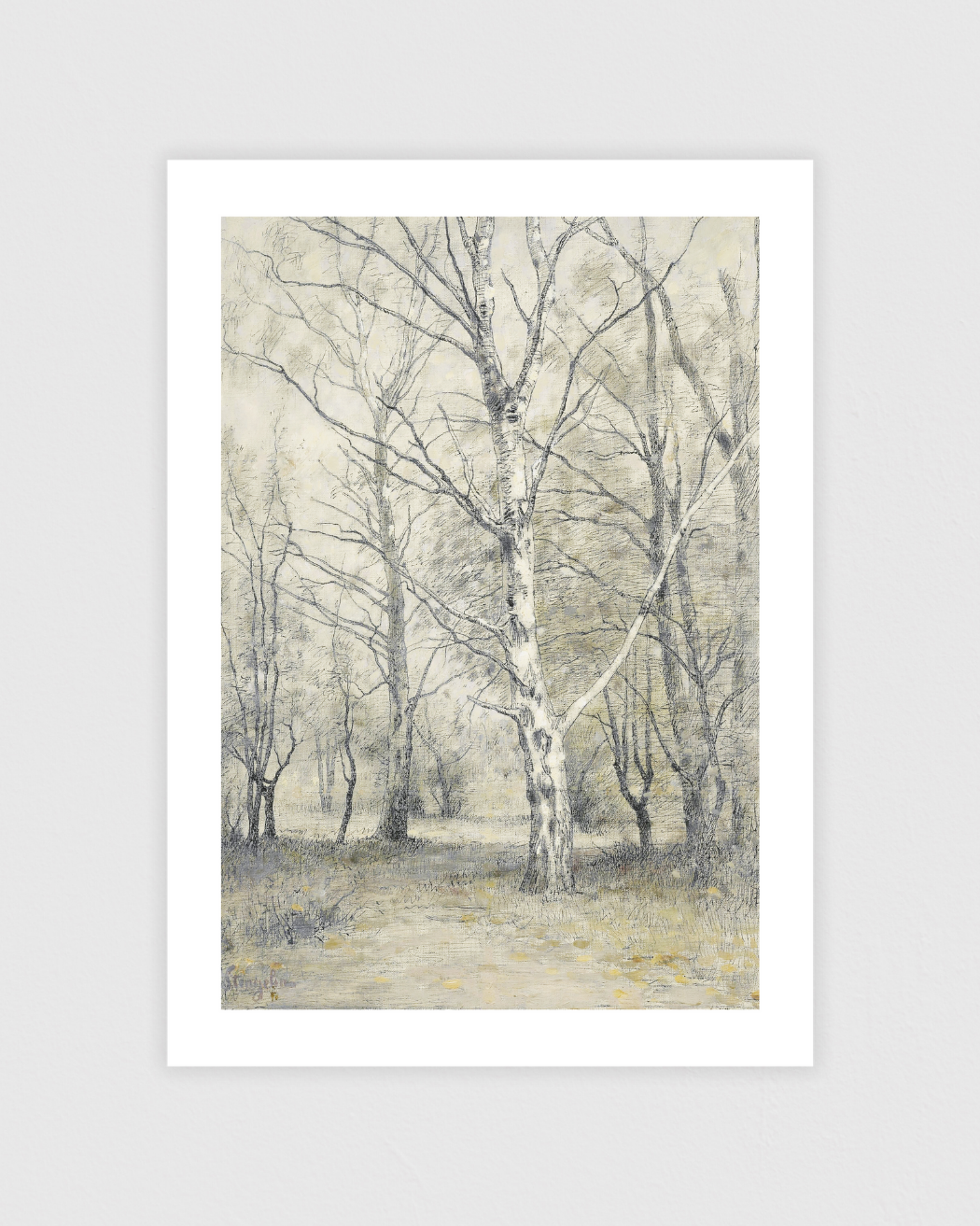 Bos met Berkebomen