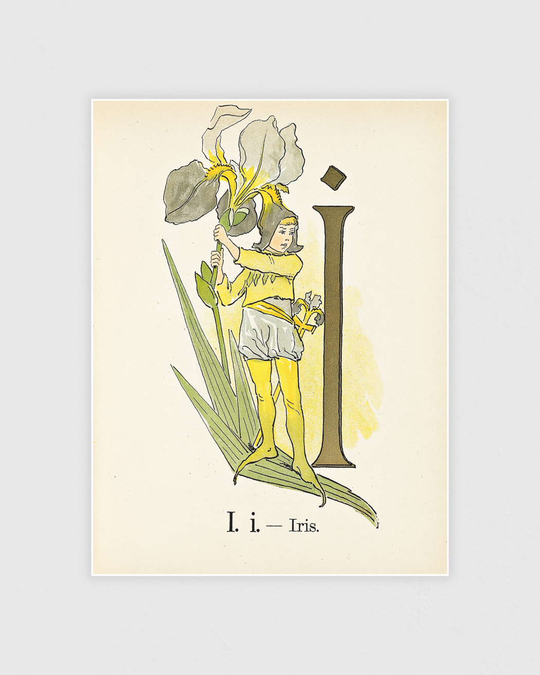 Prinsarnes blomsteralfabet - I