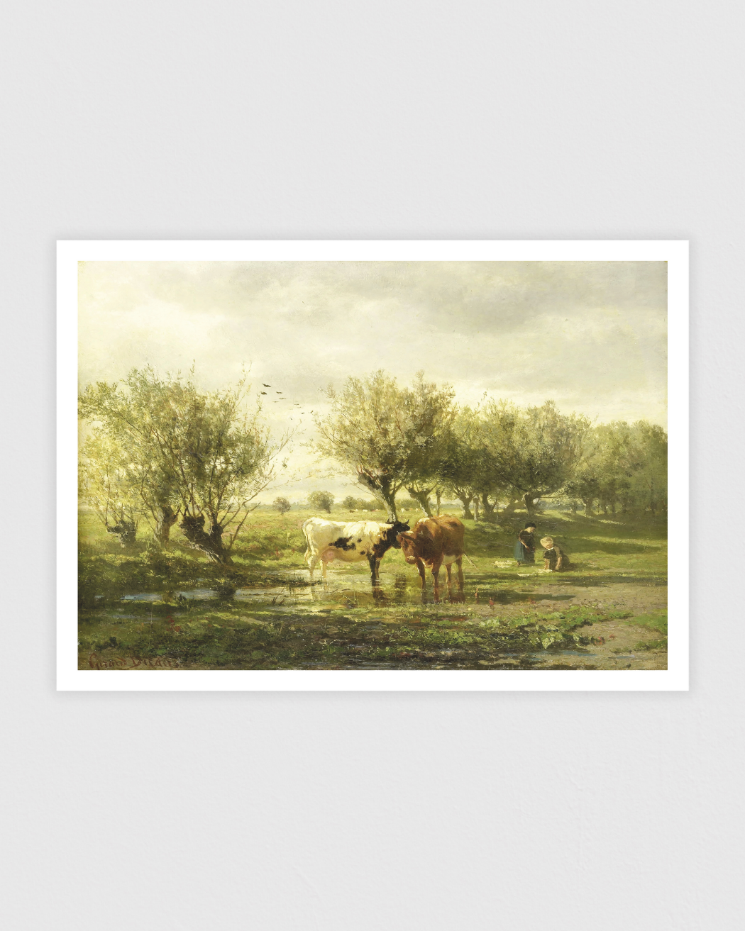 Cows at a pond