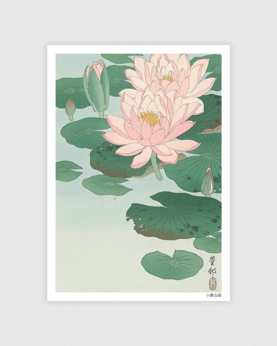 Flowering Water Lily