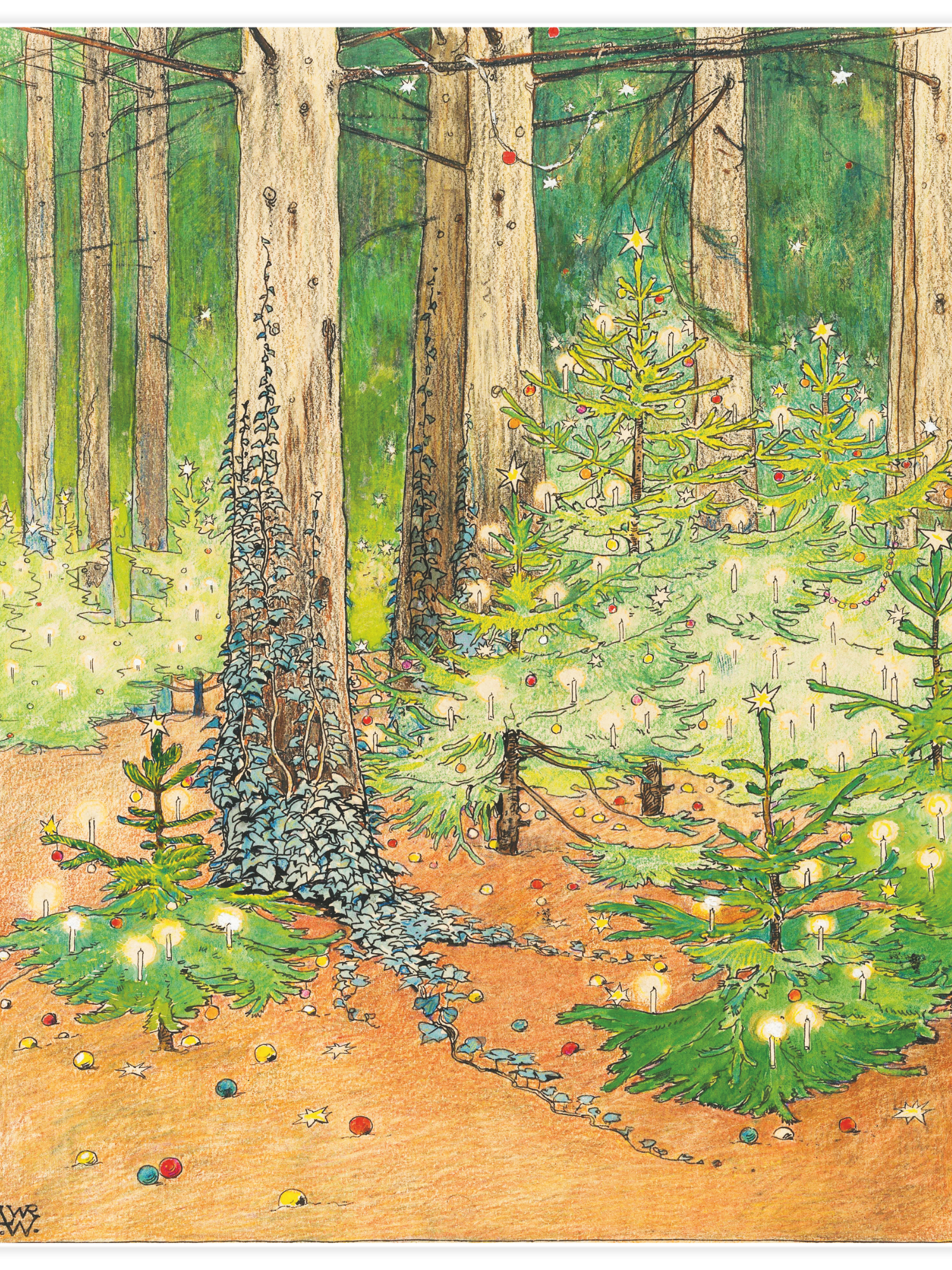 Forest with decorated and illuminated Christmas trees