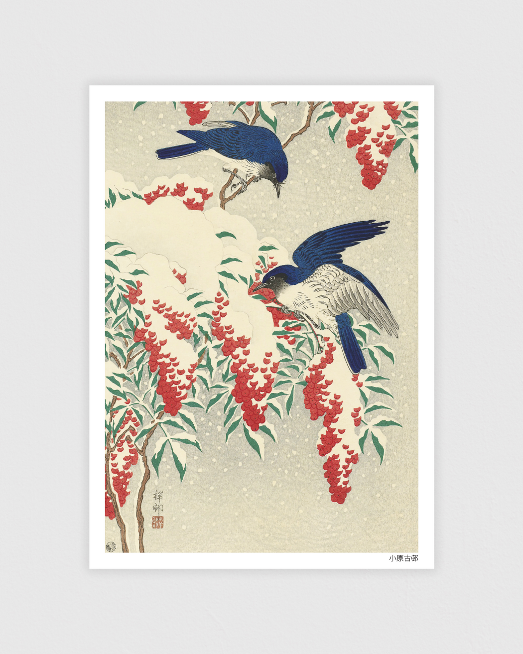 Flycatchers on snow covered nandin bush