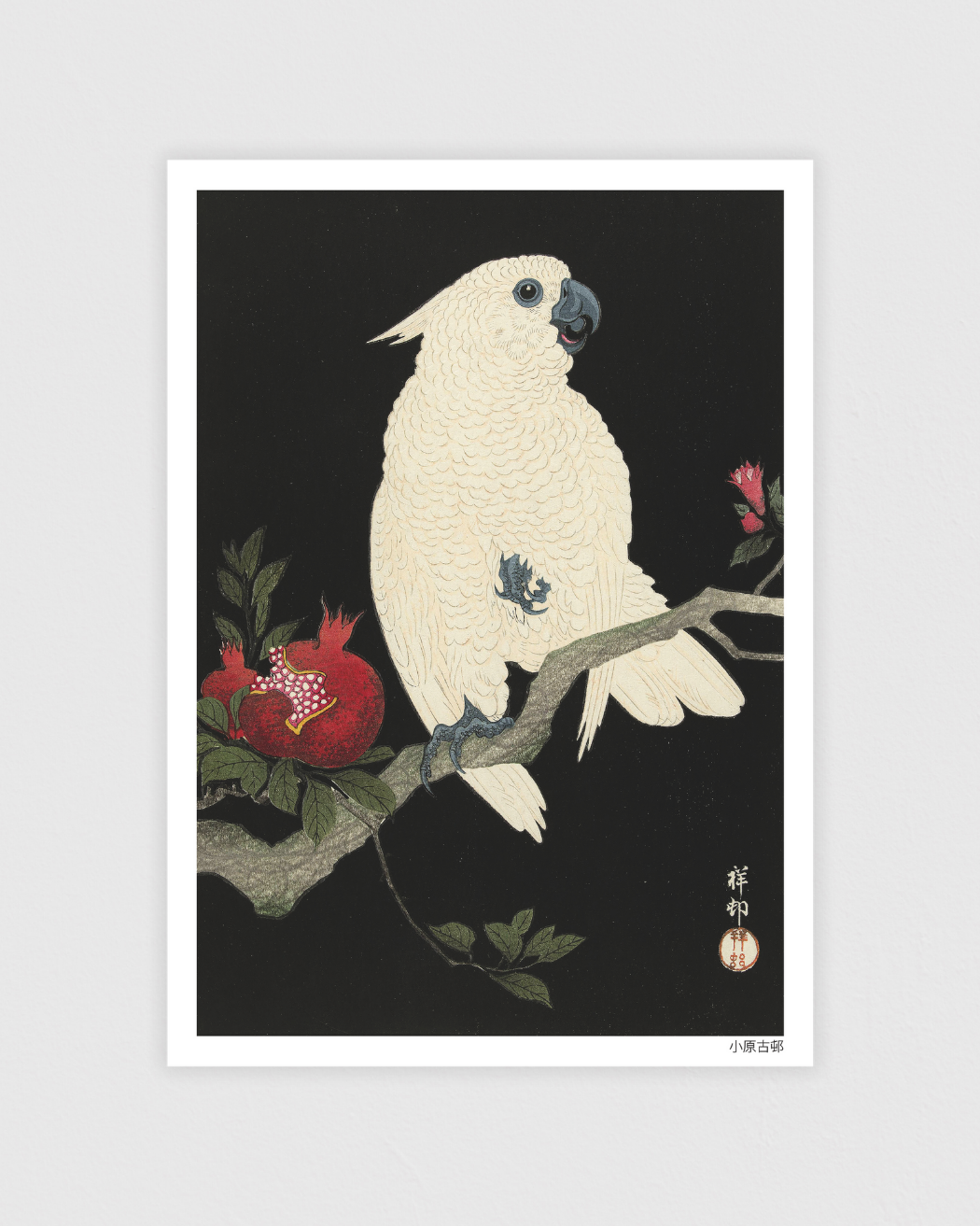 Cockatoo and pomegranate