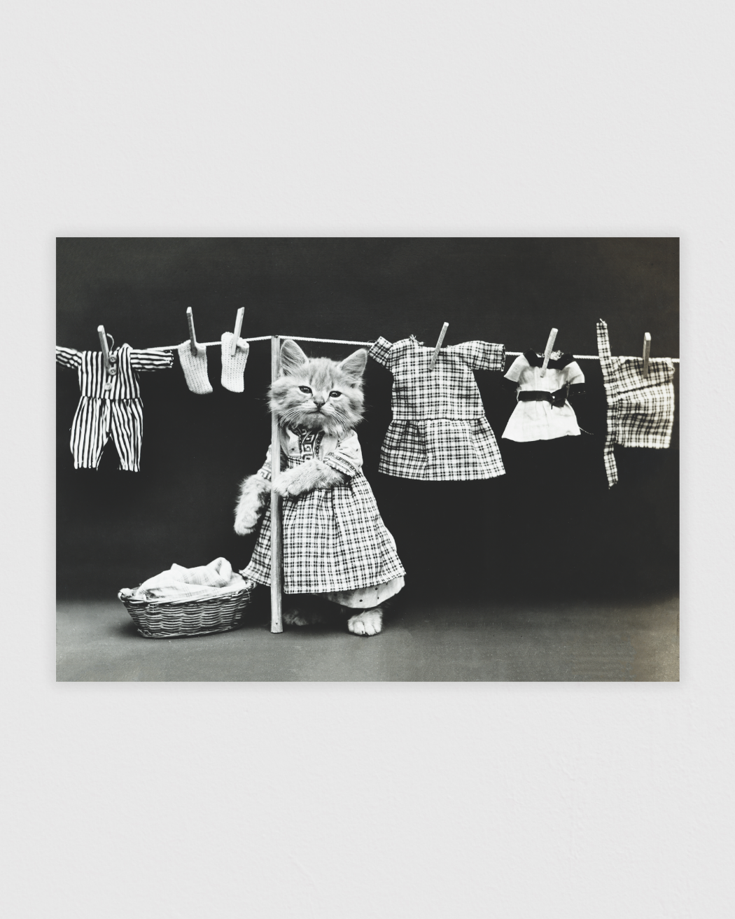 Hanging up the wash
