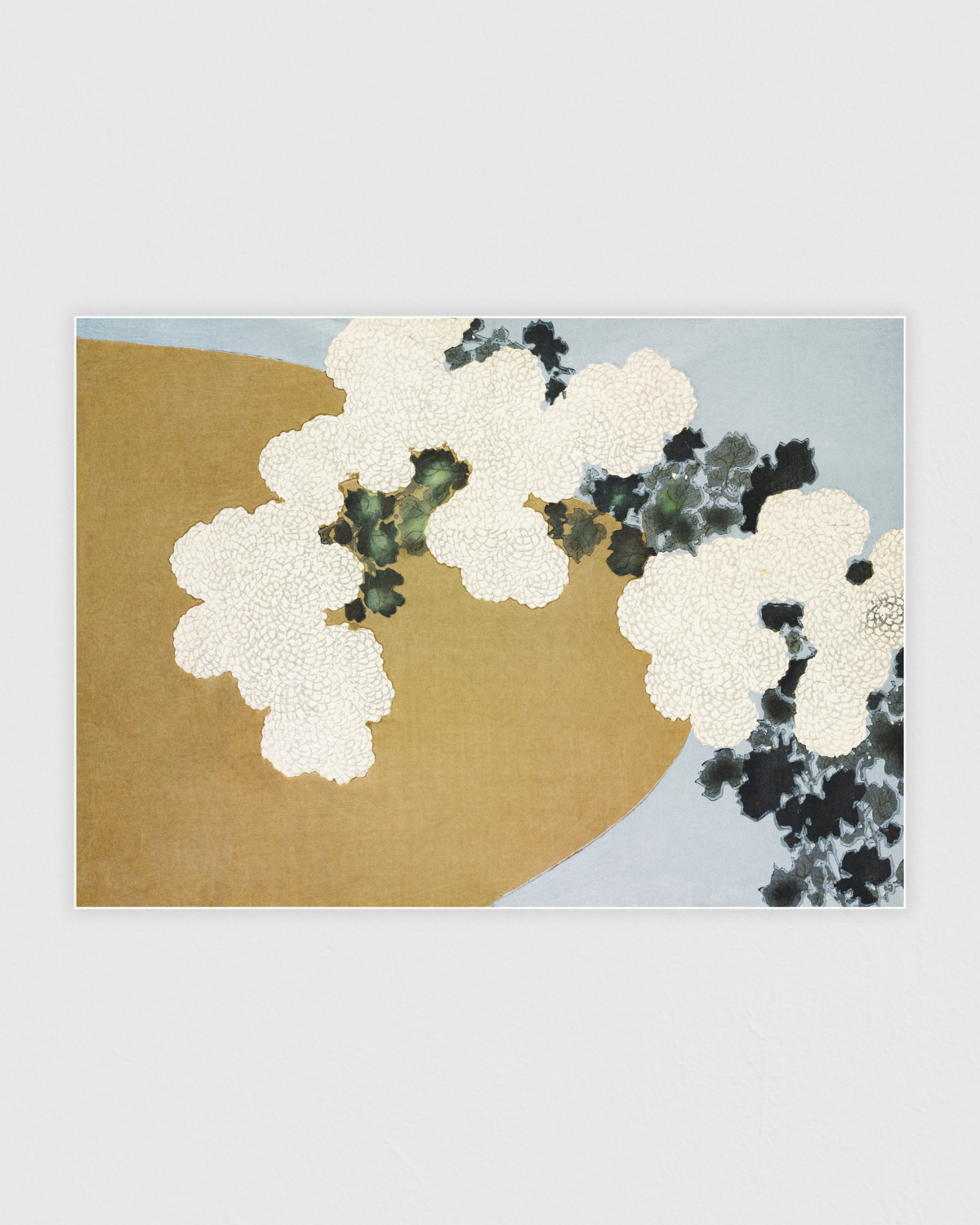Blossom from Momoyogusa