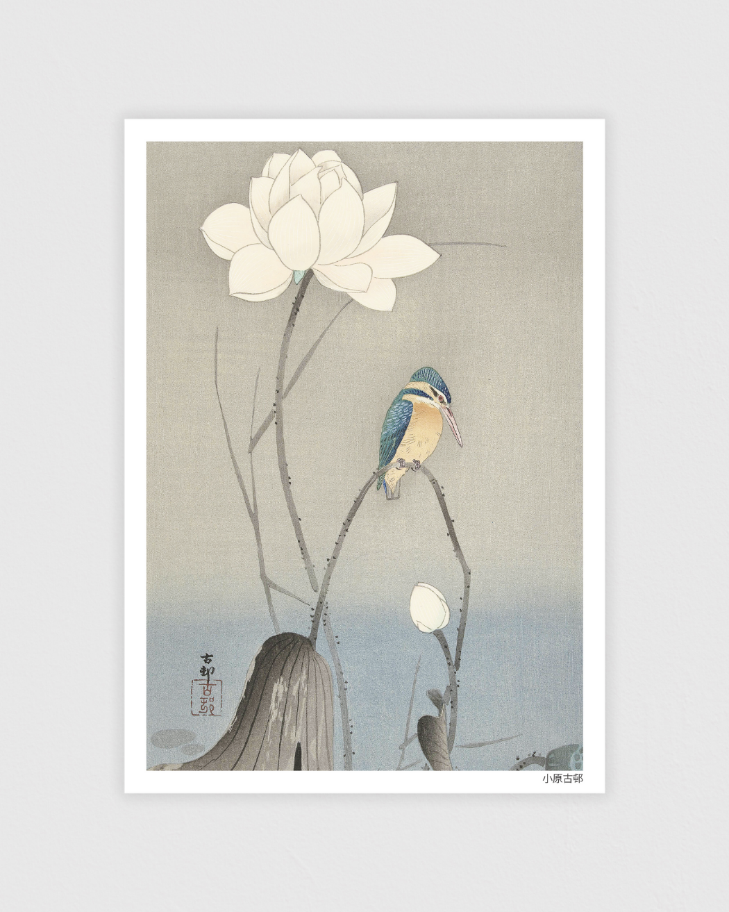 Kingfisher with Lotus Flower