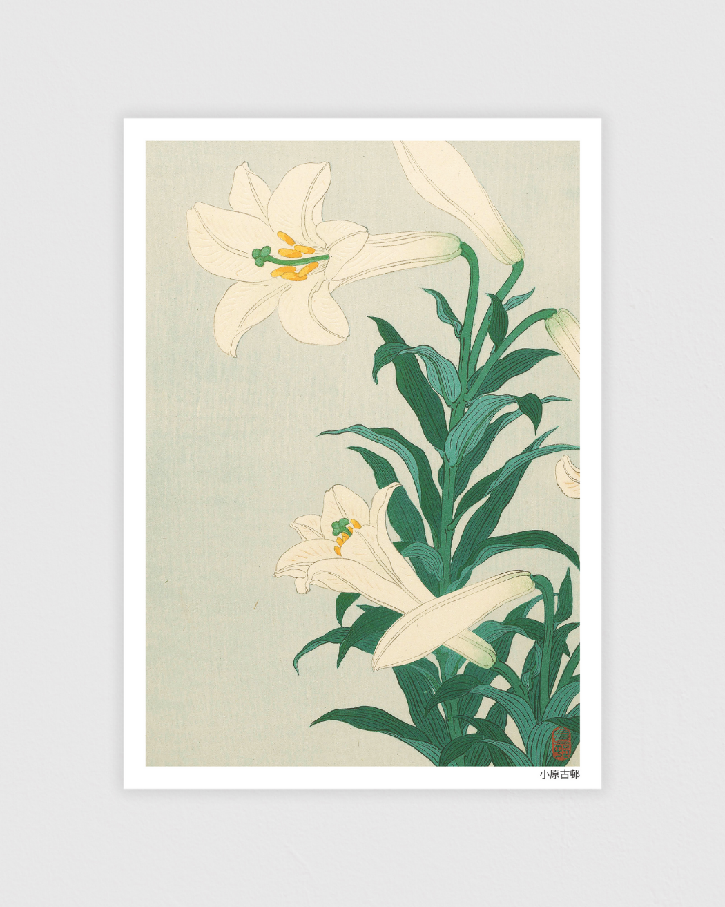 Lilies
