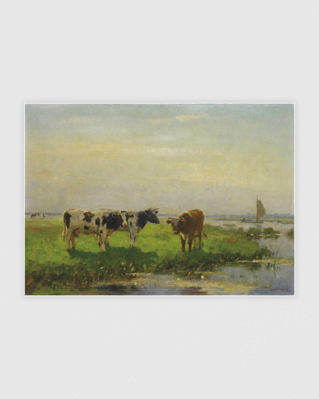 Cows in the Meadow