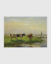 Cows in the Meadow