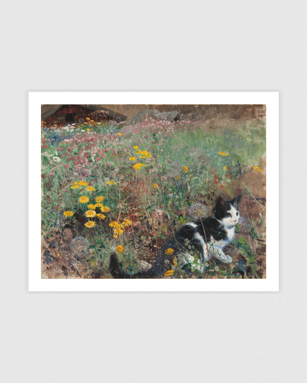 Katt på blomsteräng