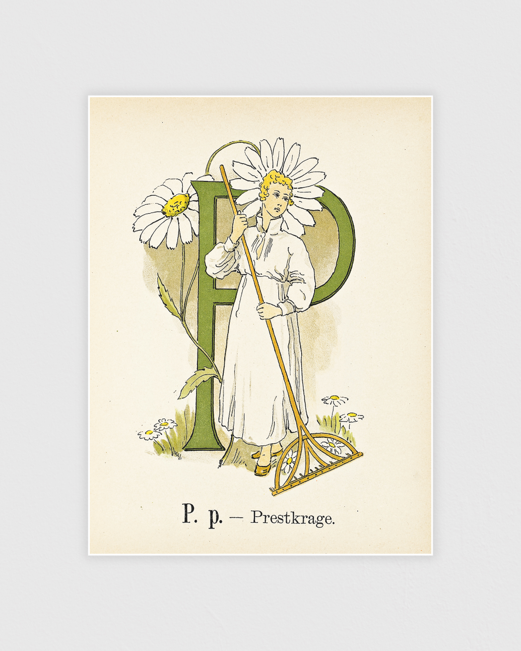 Prinsarnes blomsteralfabet - P
