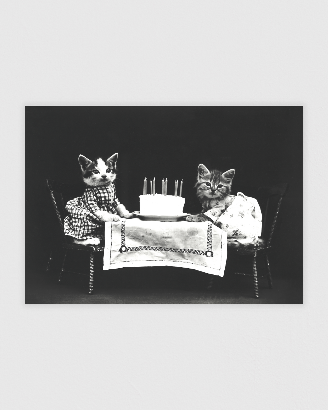 The birthday cake