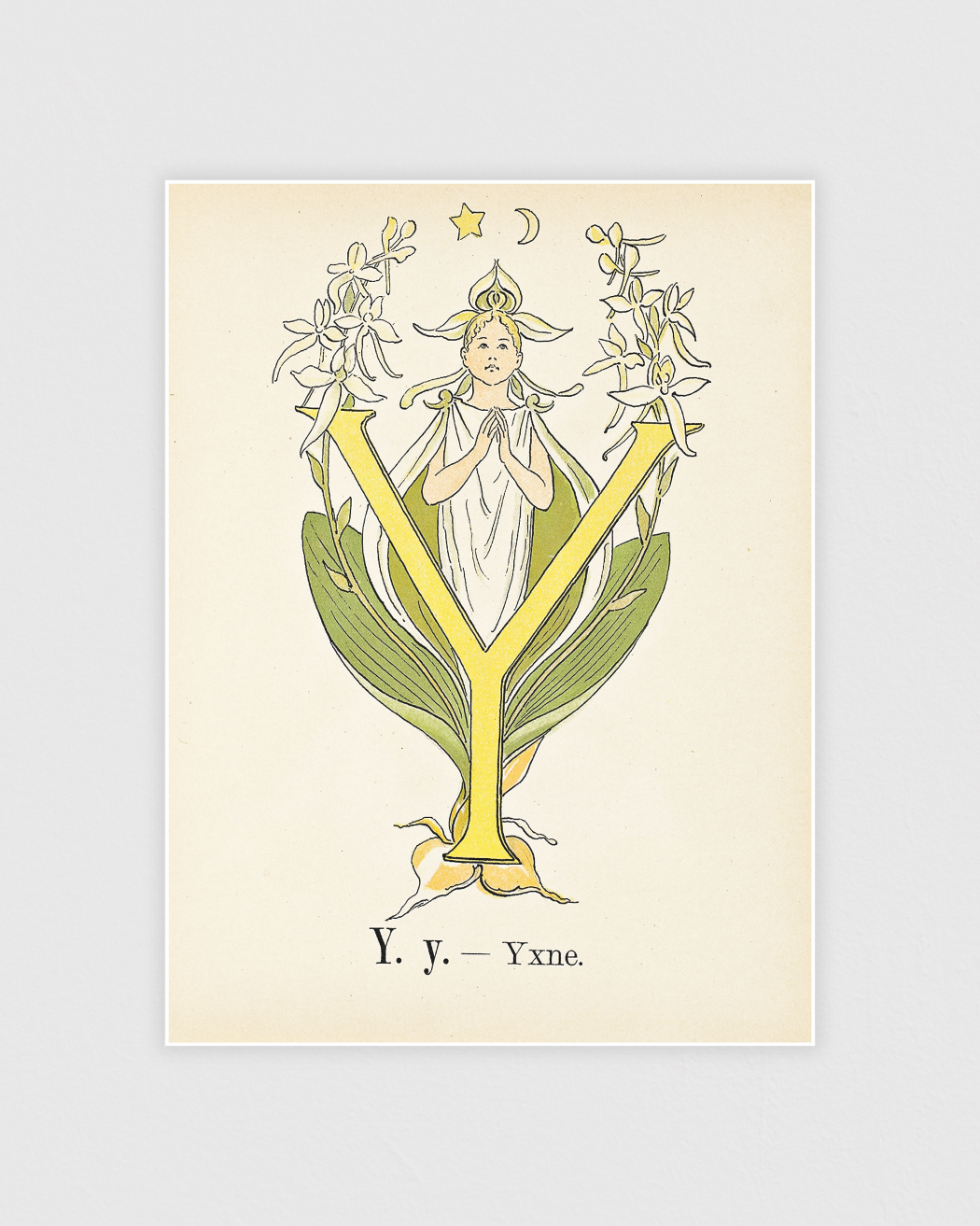 Prinsarnes blomsteralfabet - Y