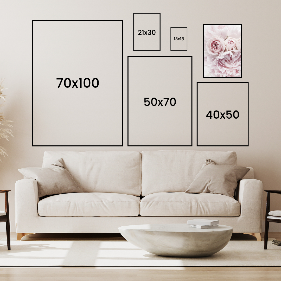 Light Pink Peonies Poster