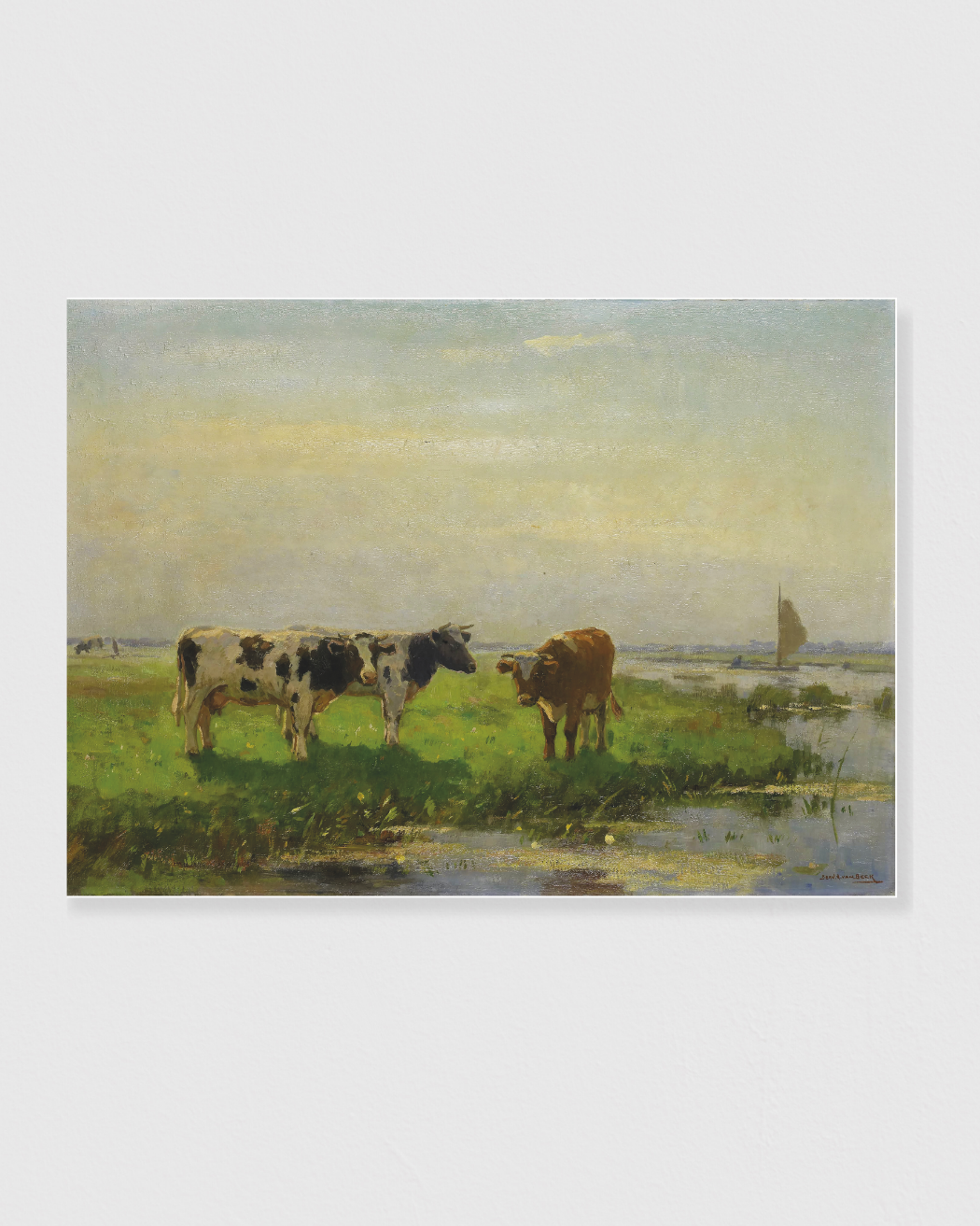 Cows in the Meadow