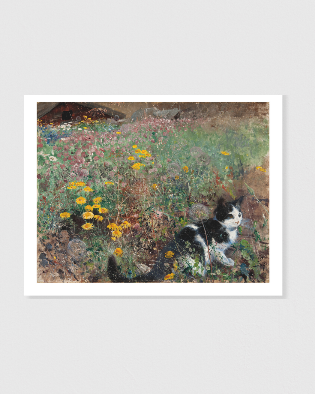 Katt på blomsteräng